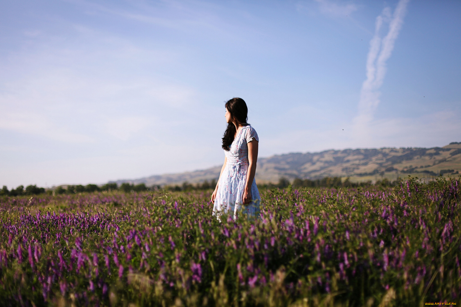 -Unsort, Брюнетки, Шатенки, девушки, unsort, брюнетки, шатенки, луг