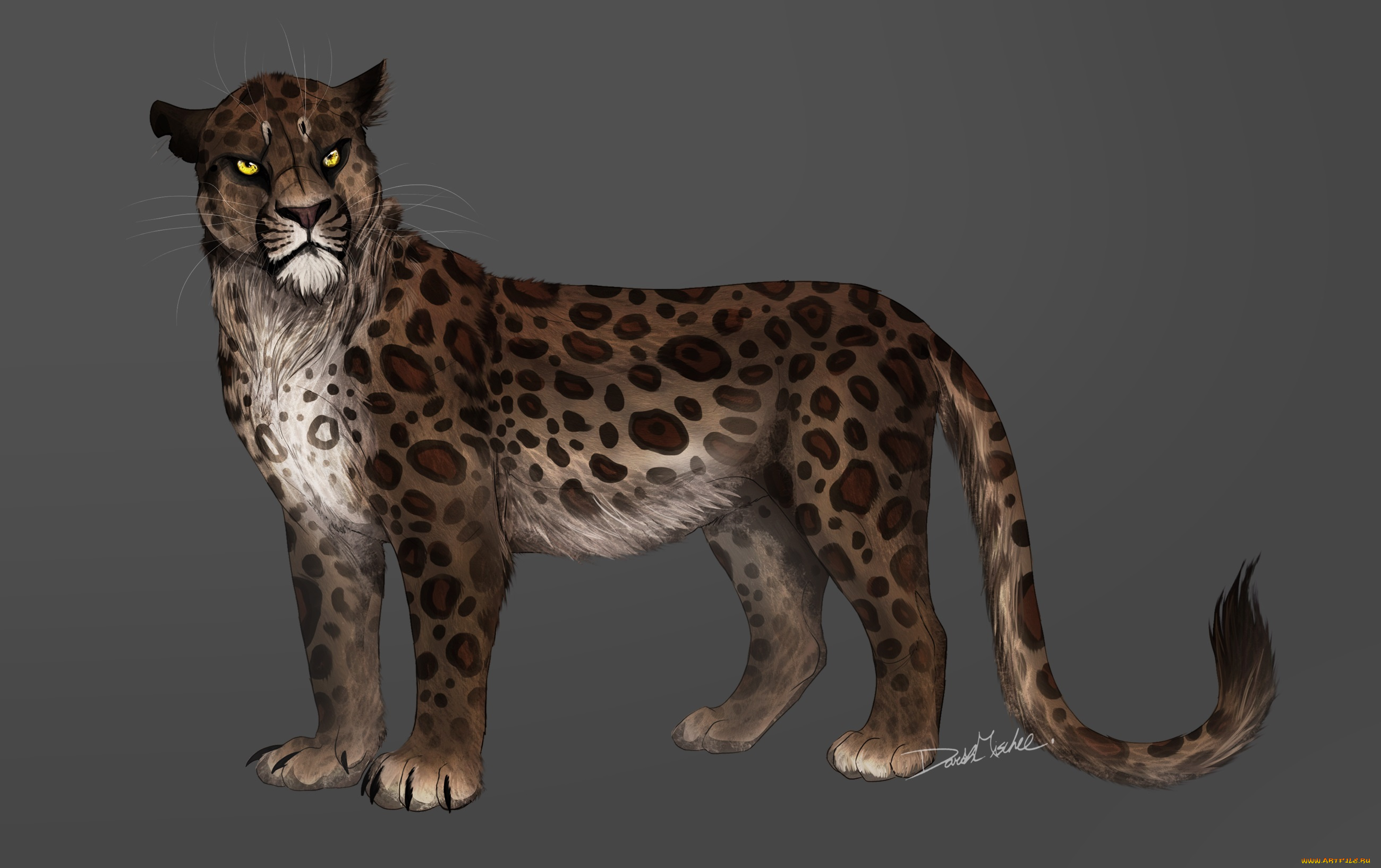 рисованные, животные, тигры, тигр