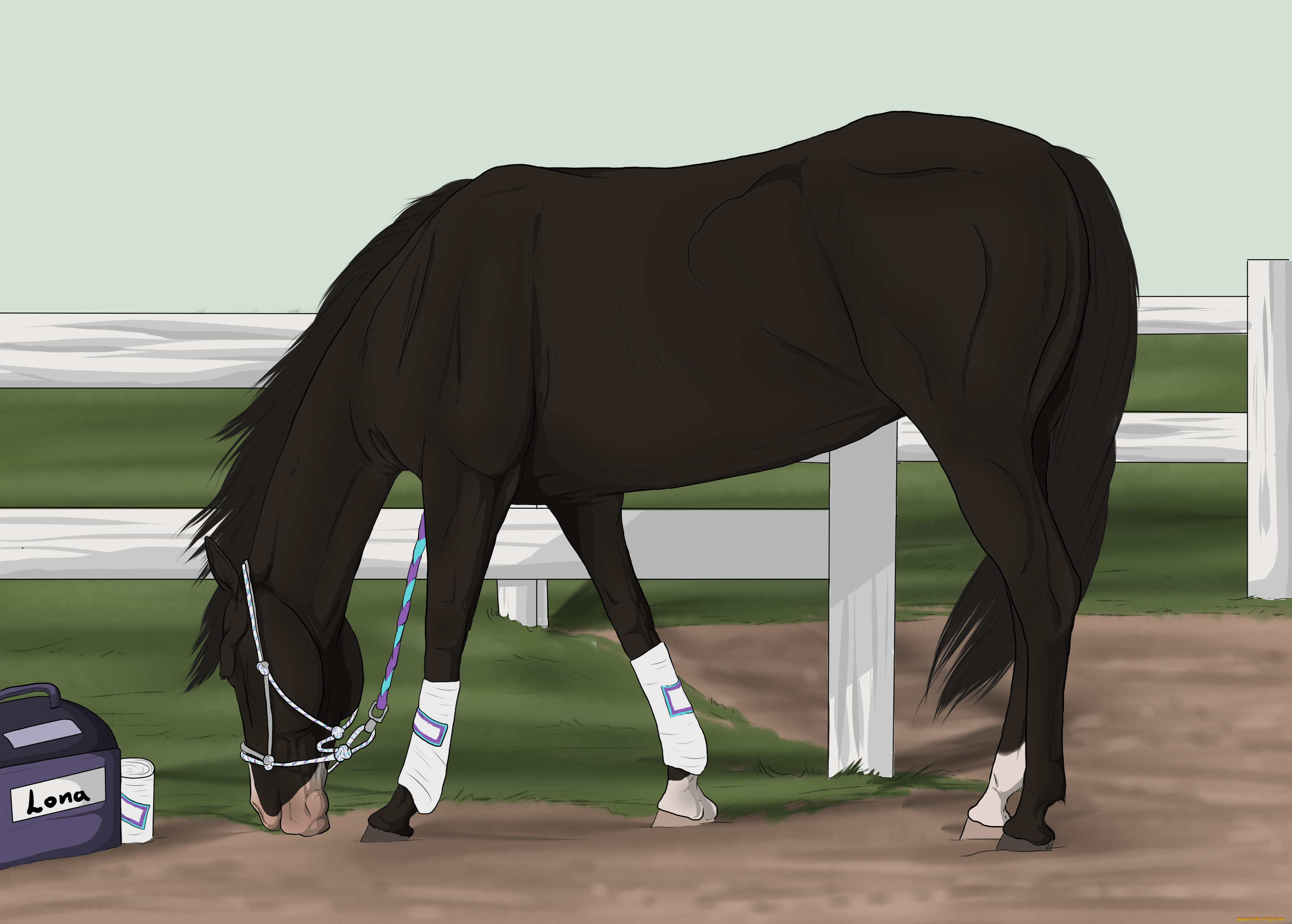 рисованные, животные, лошади, лошадь