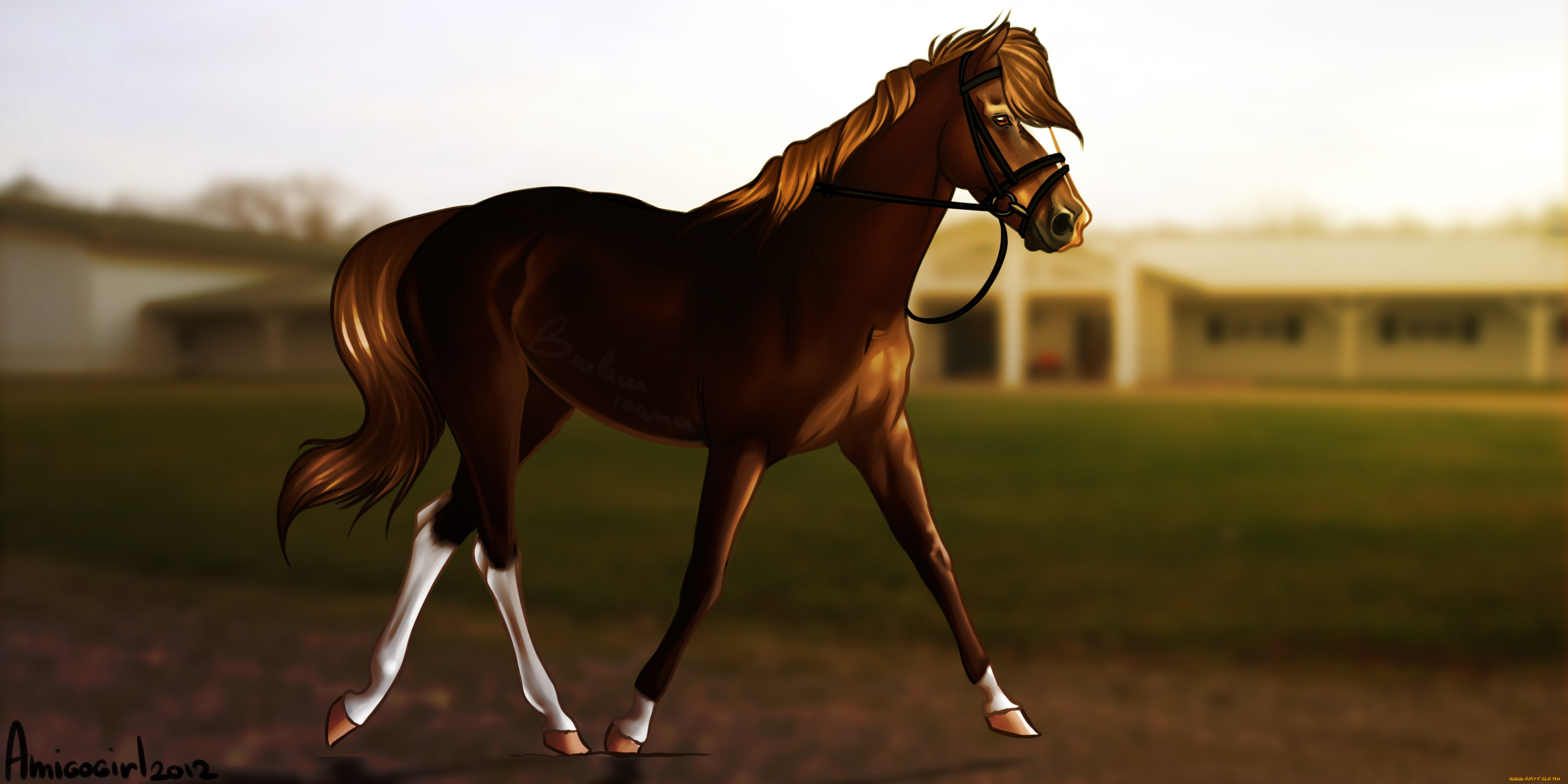 рисованные, животные, лошади, лошадь