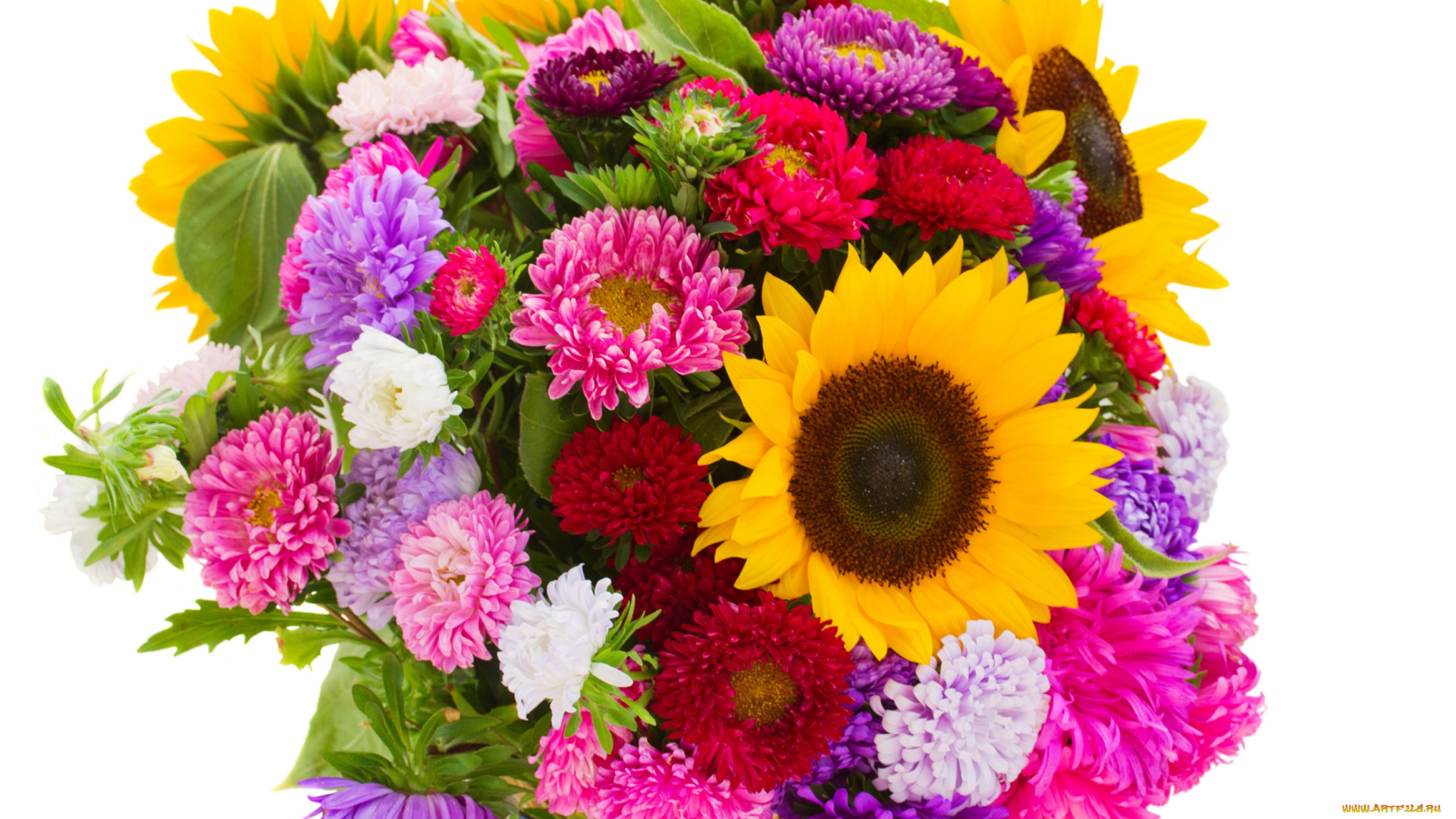цветы, букеты, , композиции, астры, подсолнух