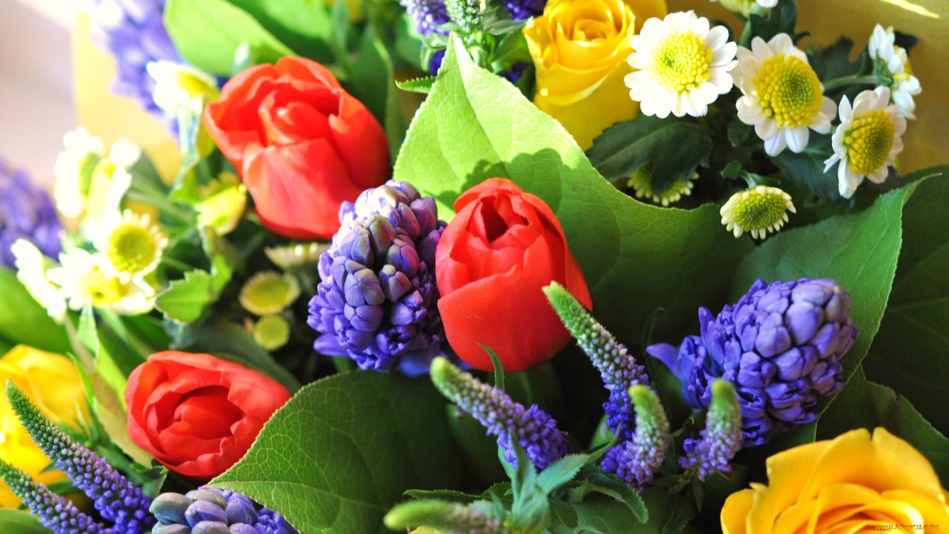 цветы, разные, вместе, роза, гиацинт, тюльпан