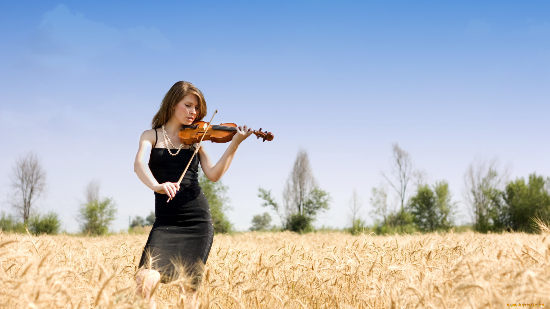 музыка, -, другое, скрипка, девушка