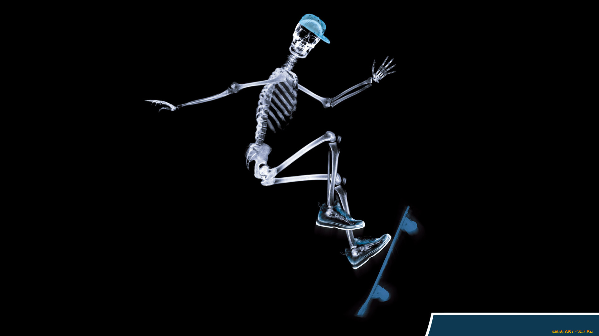 разное, кости, , рентген, скейтборд