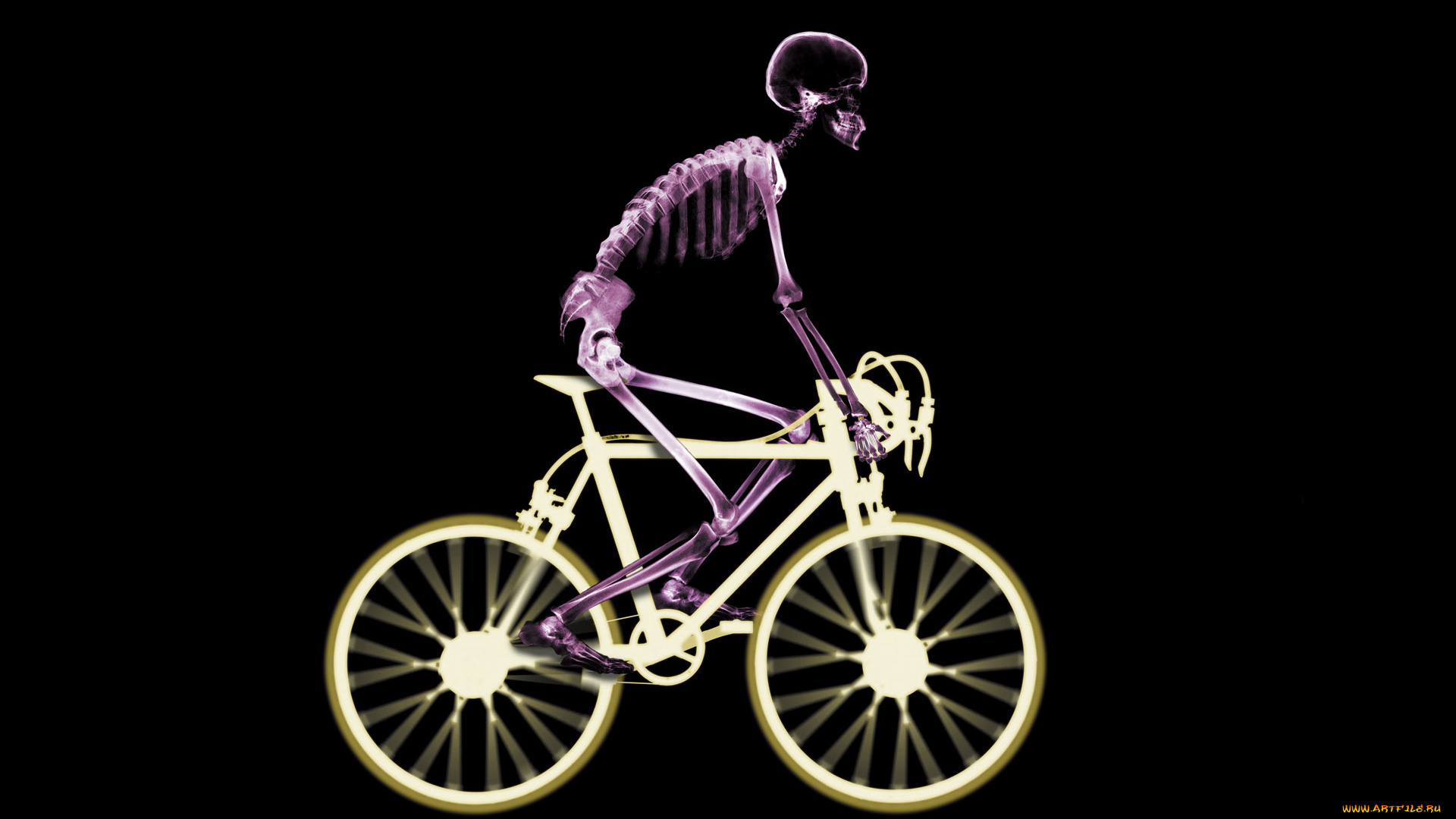 разное, кости, , рентген, велосипедист