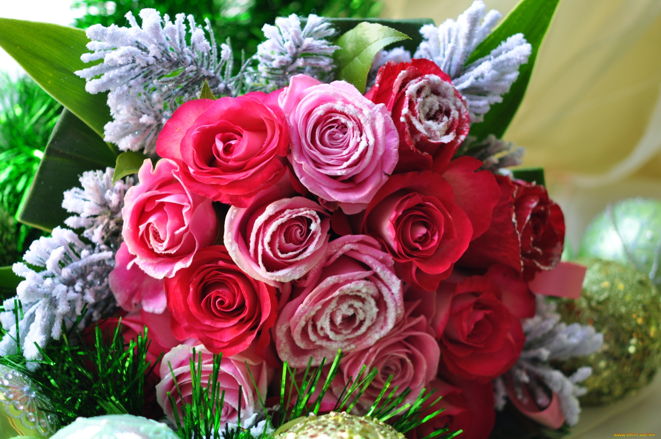 цветы, розы, букет