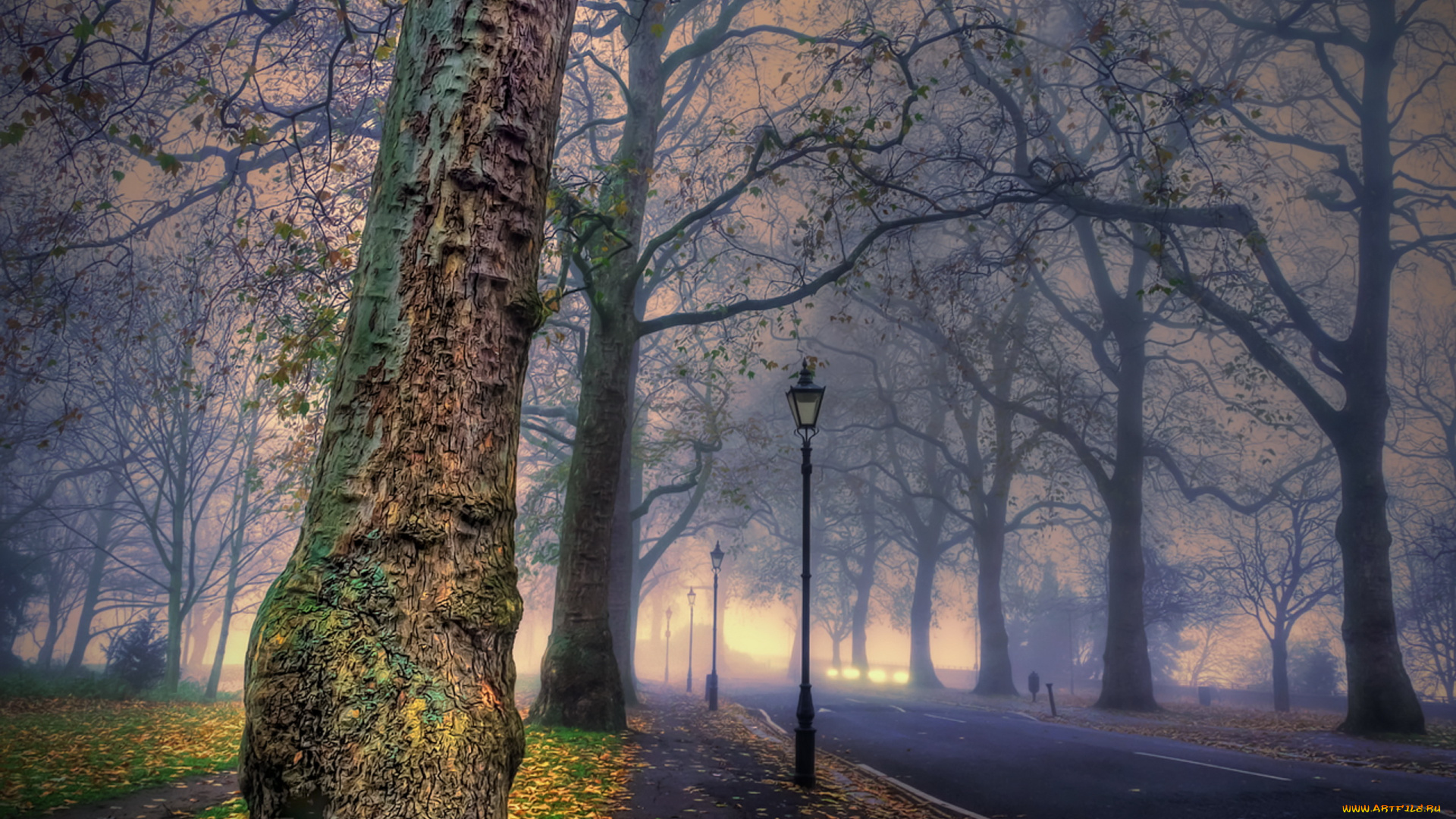 разное, компьютерный, дизайн, город, туман, парк