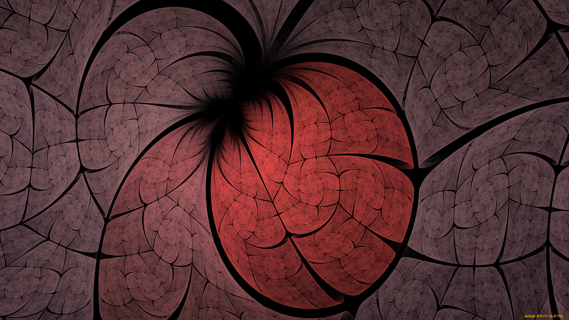 3д, графика, фракталы, , fractal, цвета, фон, узор