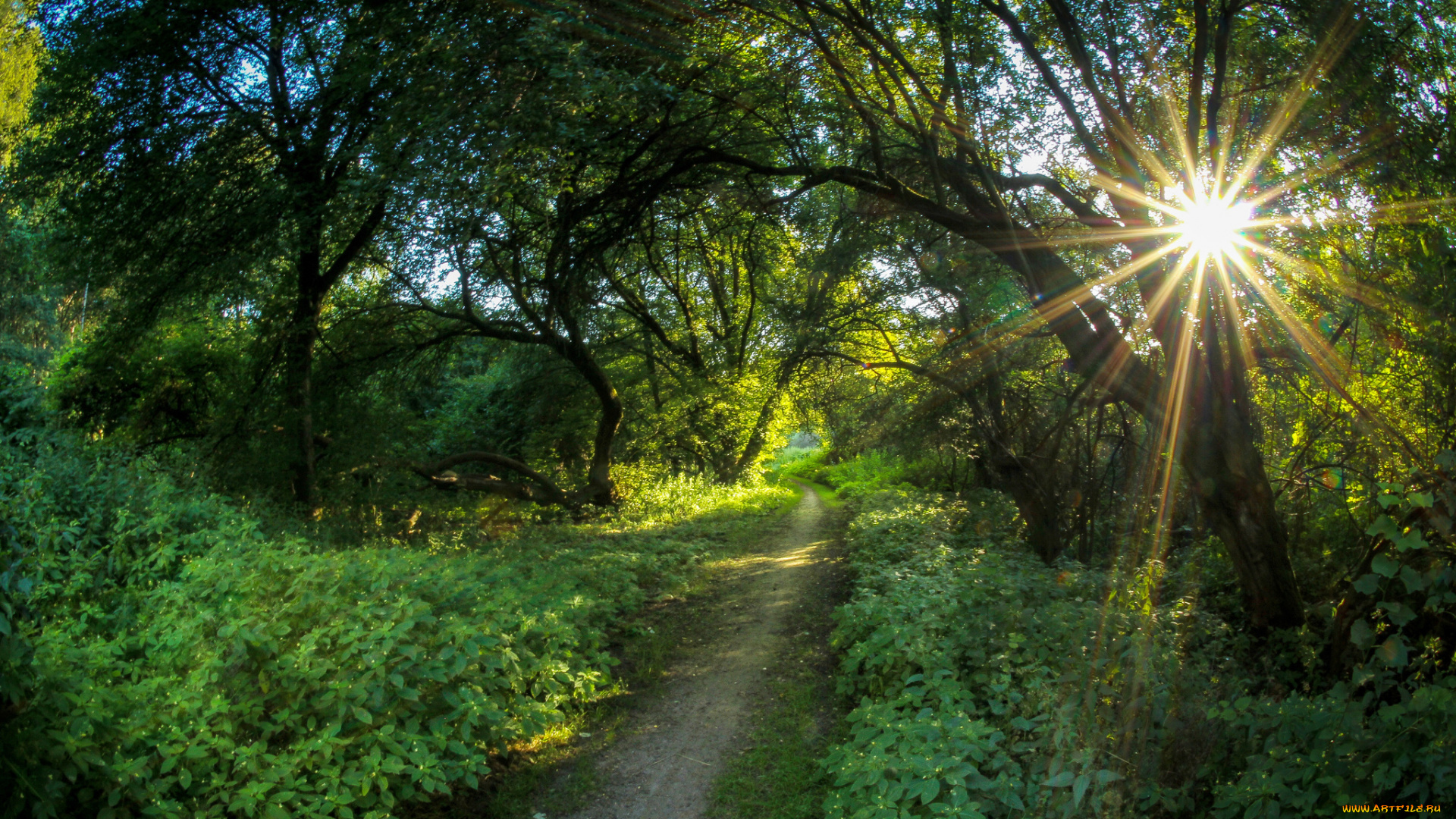 природа, дороги, тракт