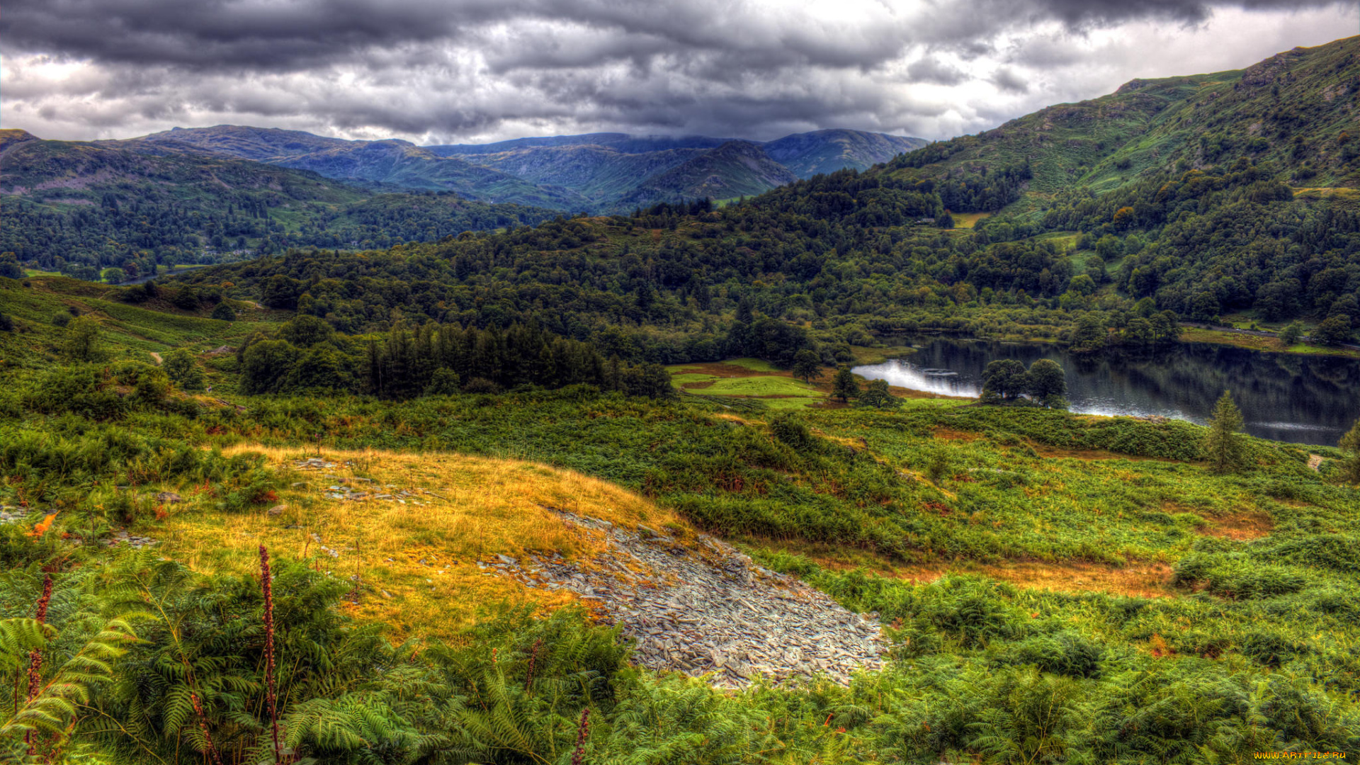 природа, пейзажи, река, лес