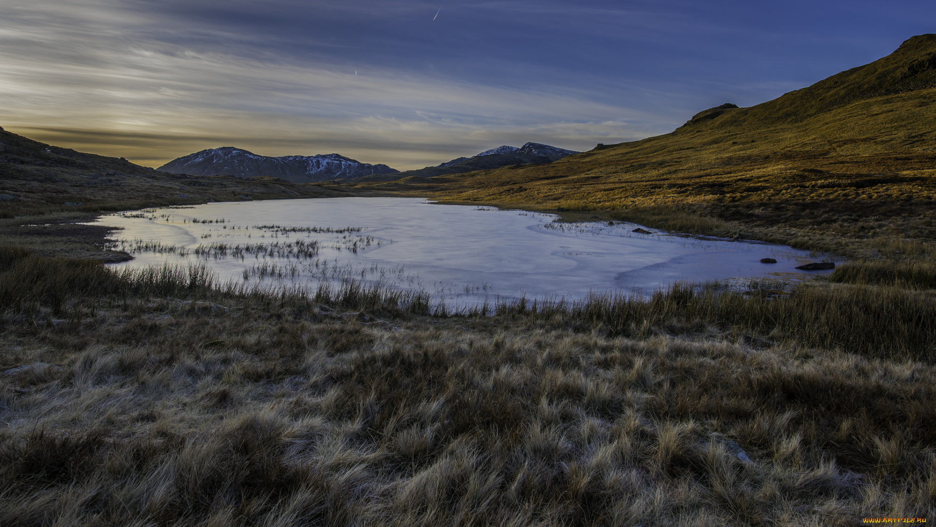 природа, реки, озера, лес, река