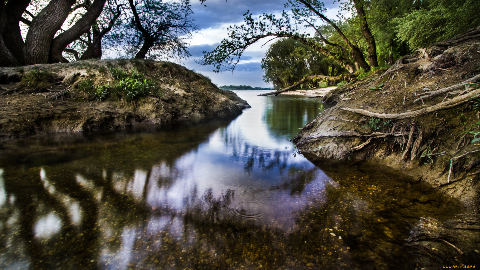 природа, реки, озера, лес, река