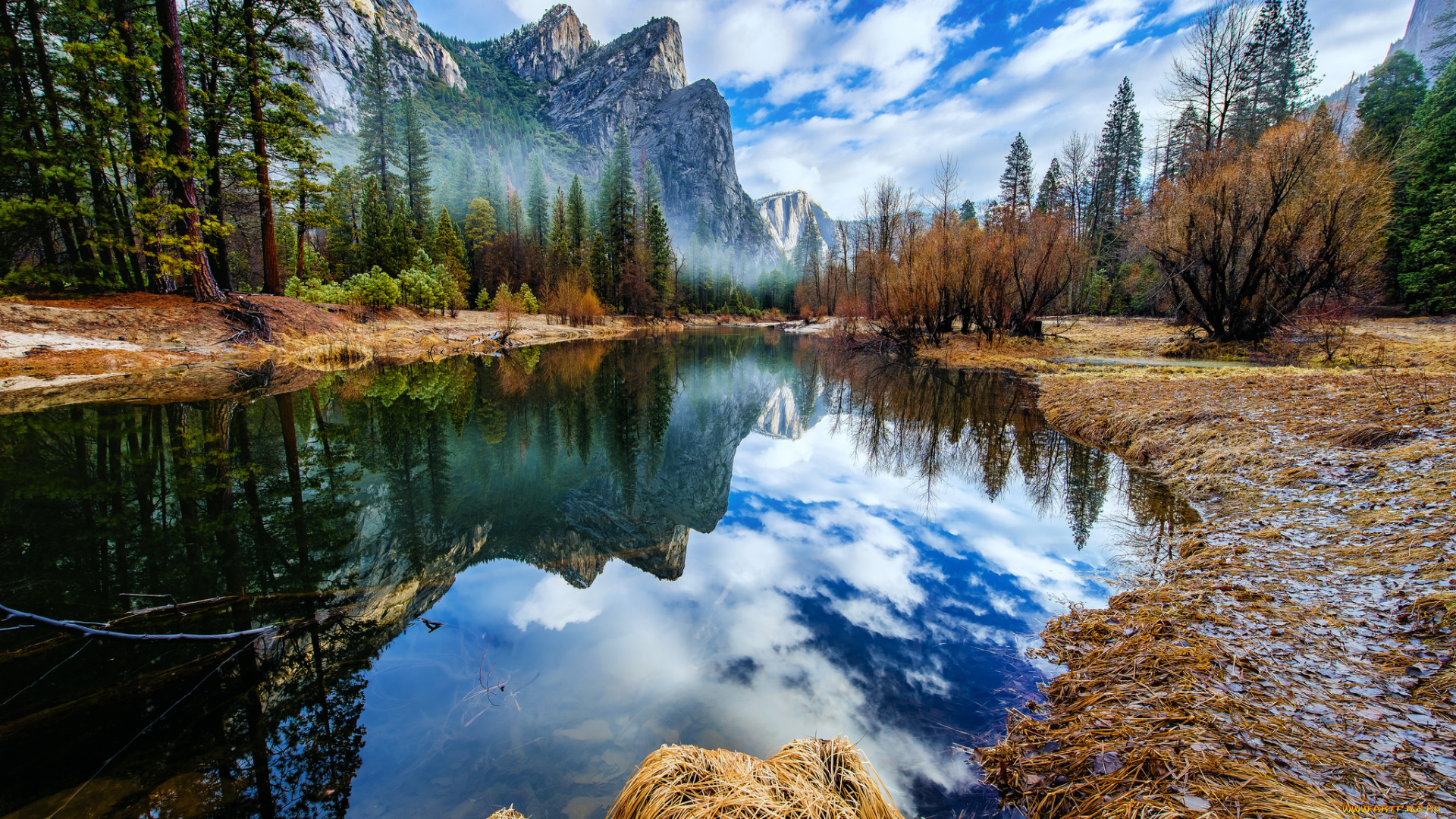 природа, реки, озера, лес, река