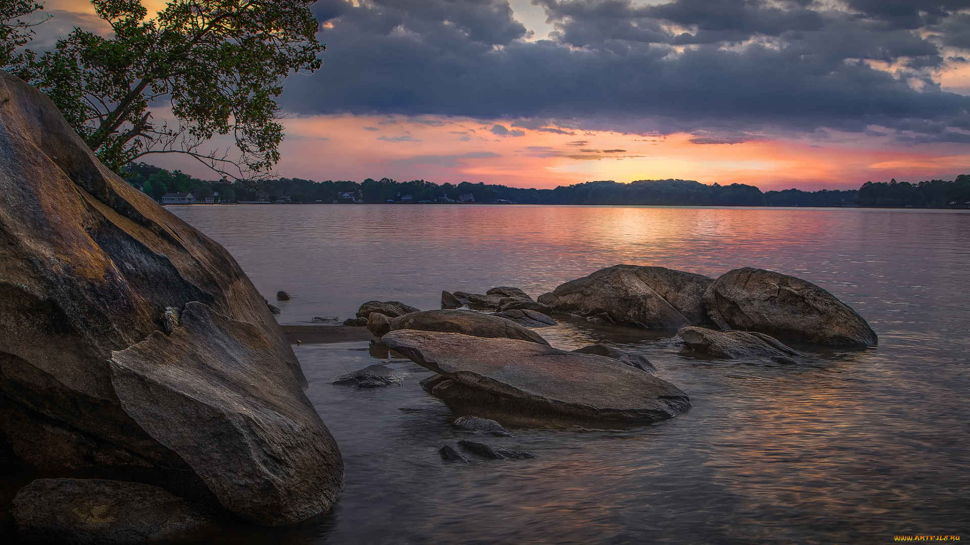 природа, реки, озера, река, лес