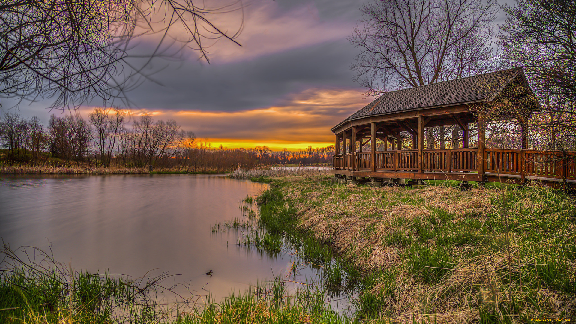 природа, реки, озера, река, лес