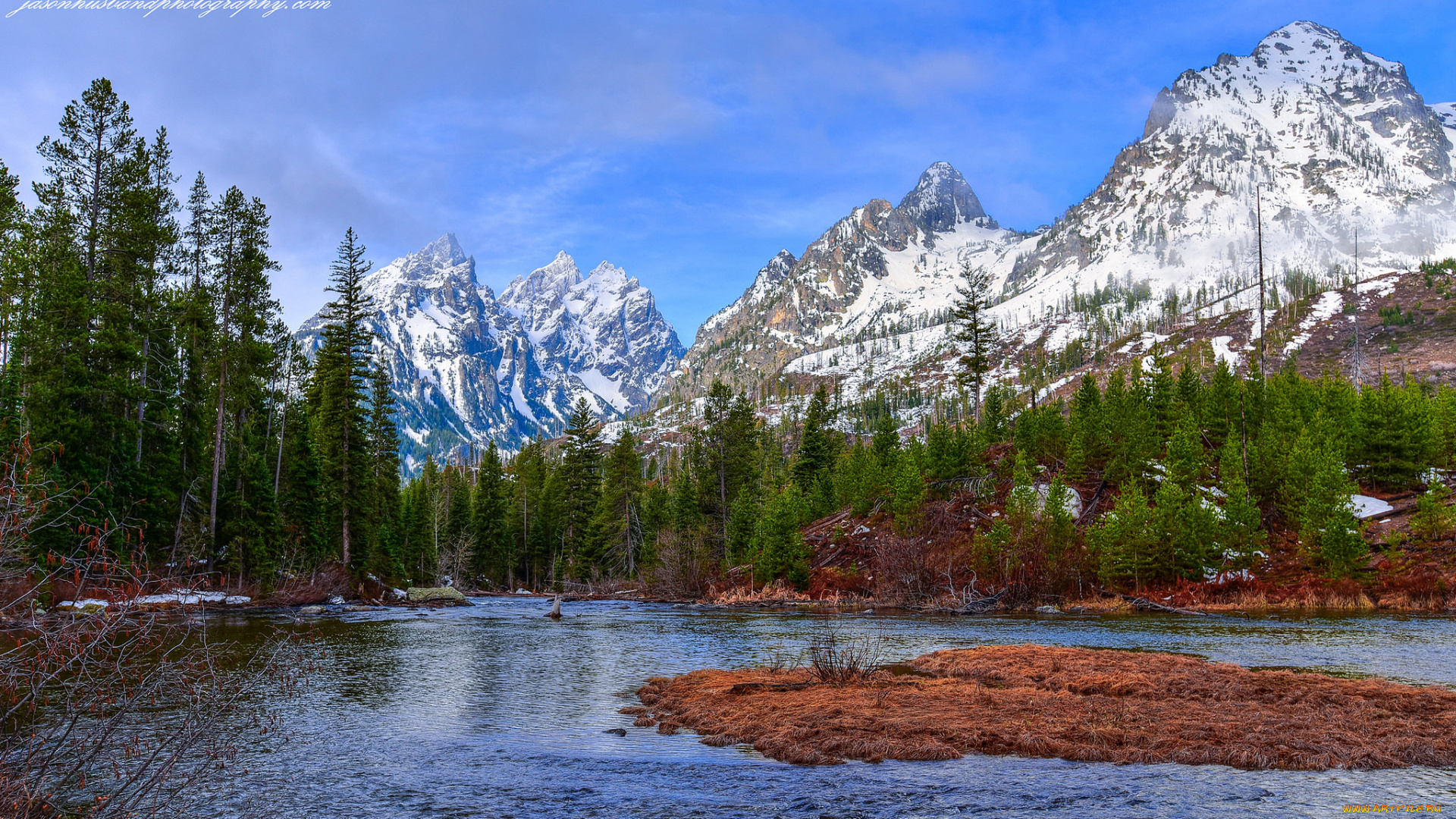 природа, реки, озера, река, лес