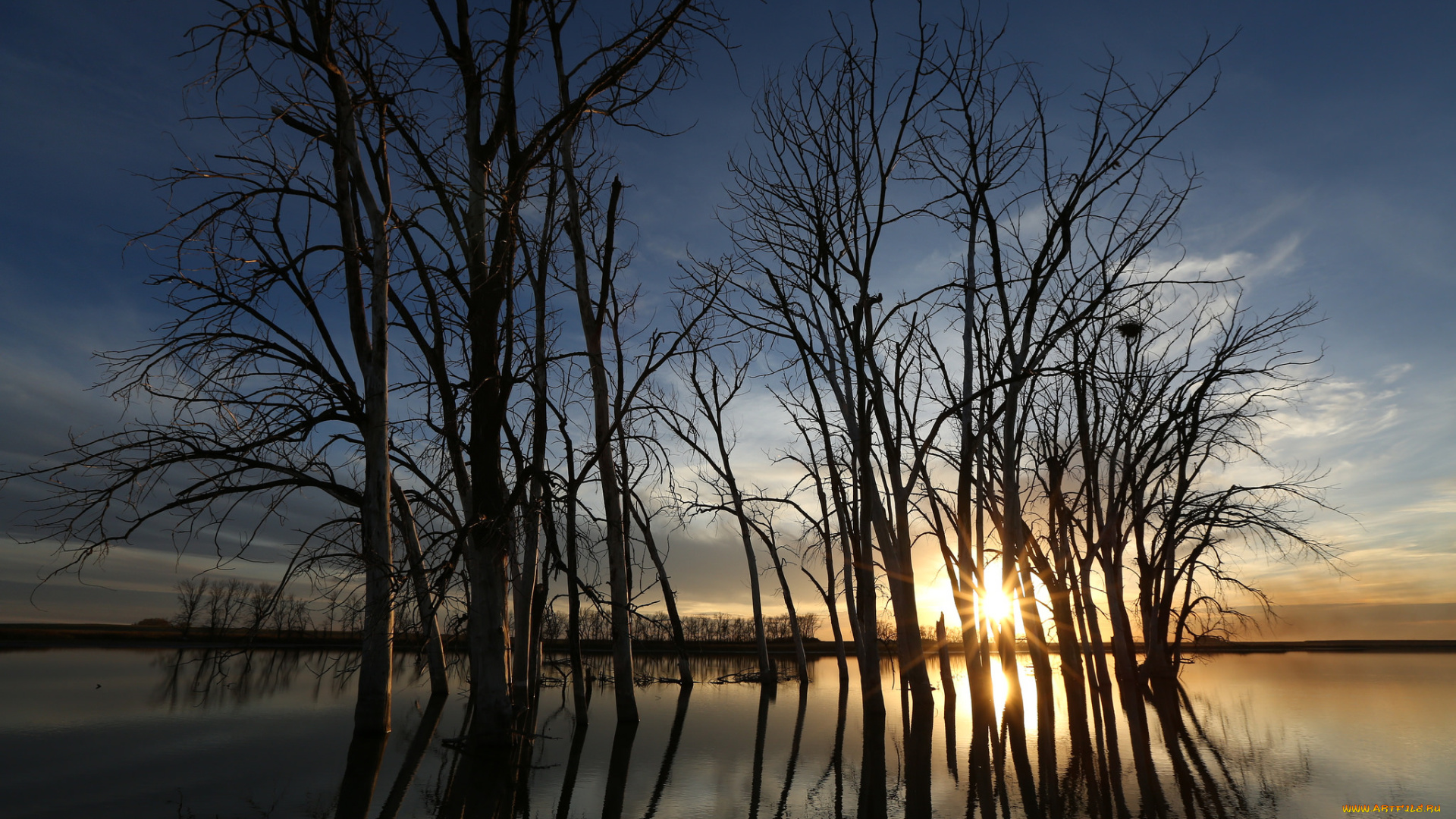 природа, восходы, закаты, рассвет