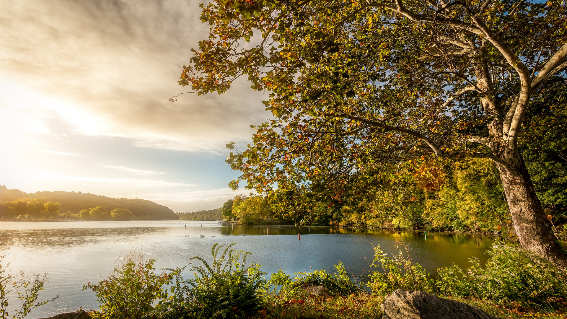природа, восходы, закаты, рассвет