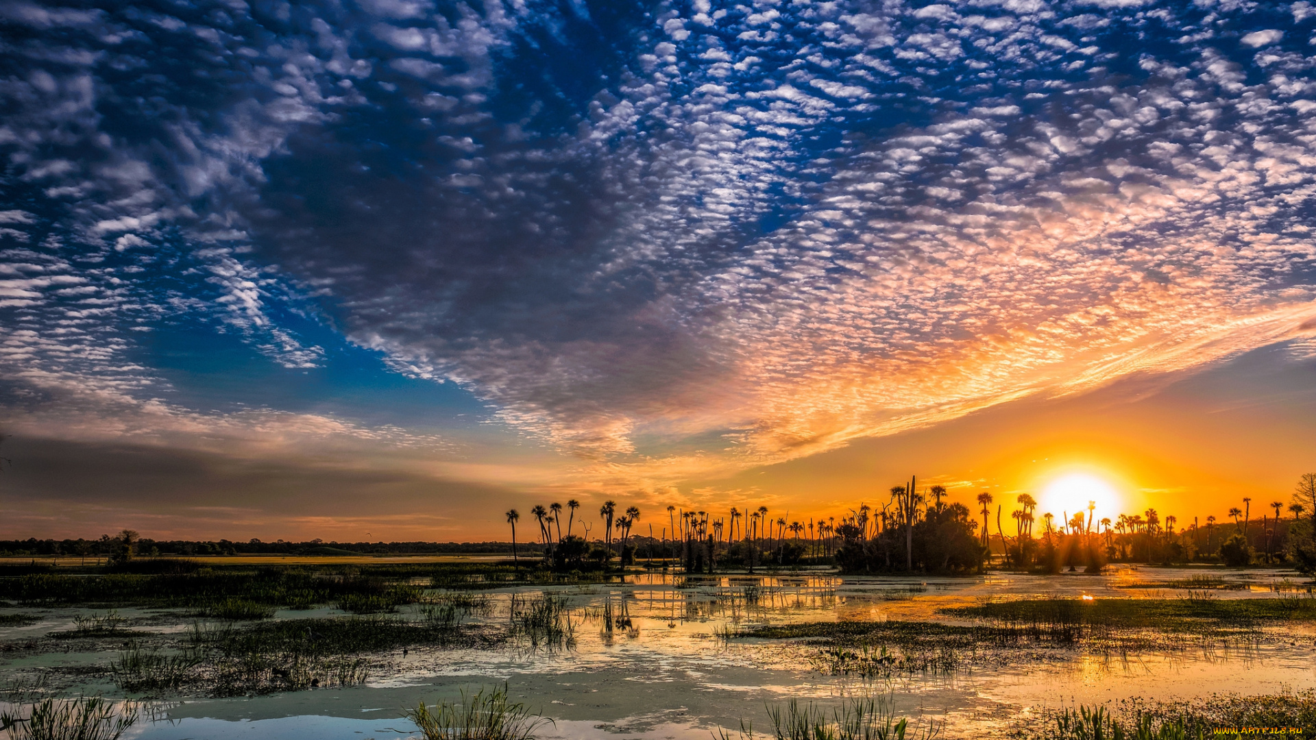 природа, восходы, закаты, рассвет