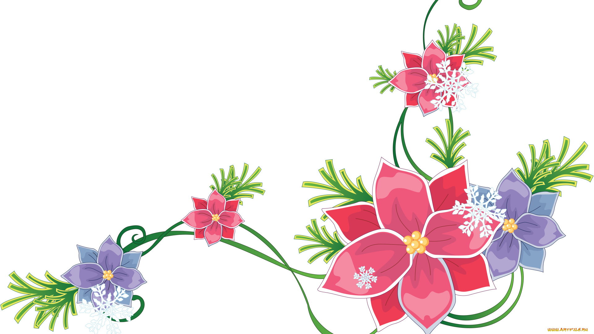 векторная, графика, цветы, , flowers, цветы, лепестки, фон