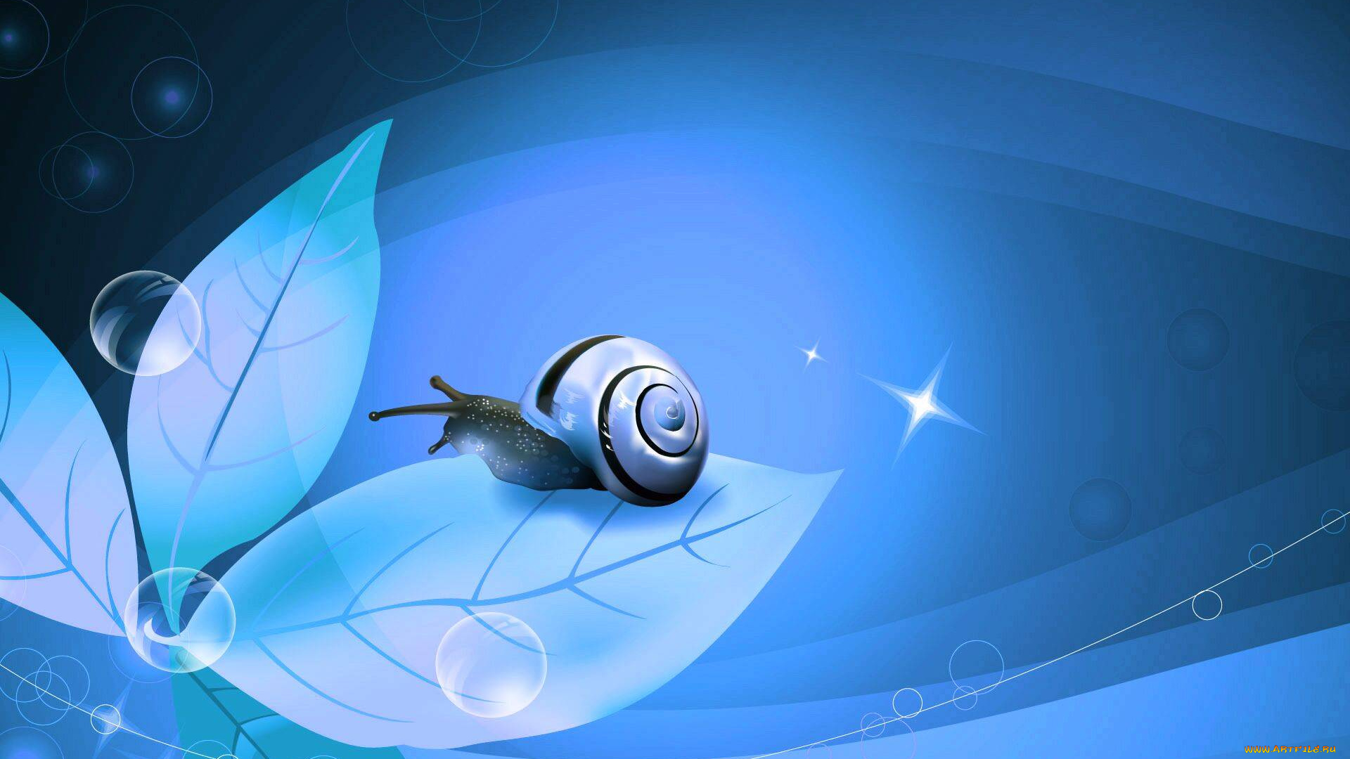 векторная, графика, животные, , animals, листьЯ, улитка