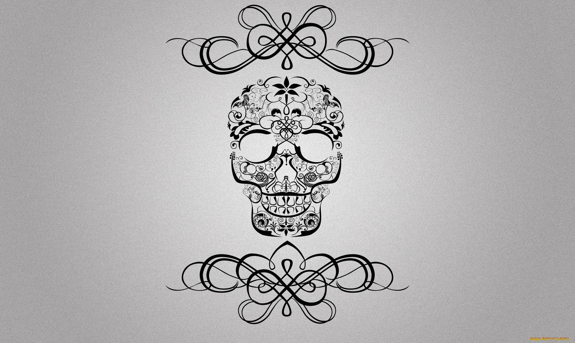 рисованное, минимализм, череп, фон