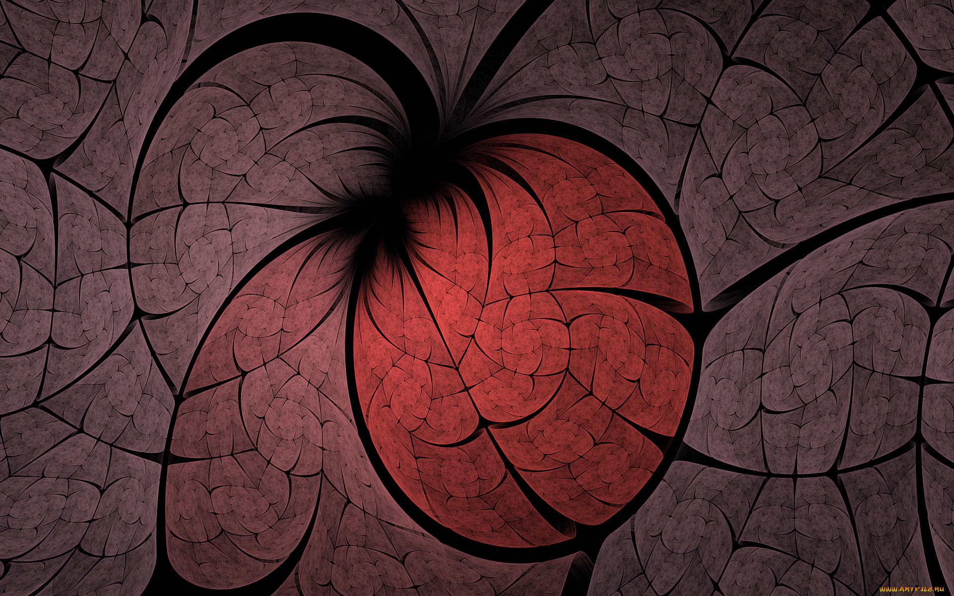 3д, графика, фракталы, , fractal, цвета, фон, узор