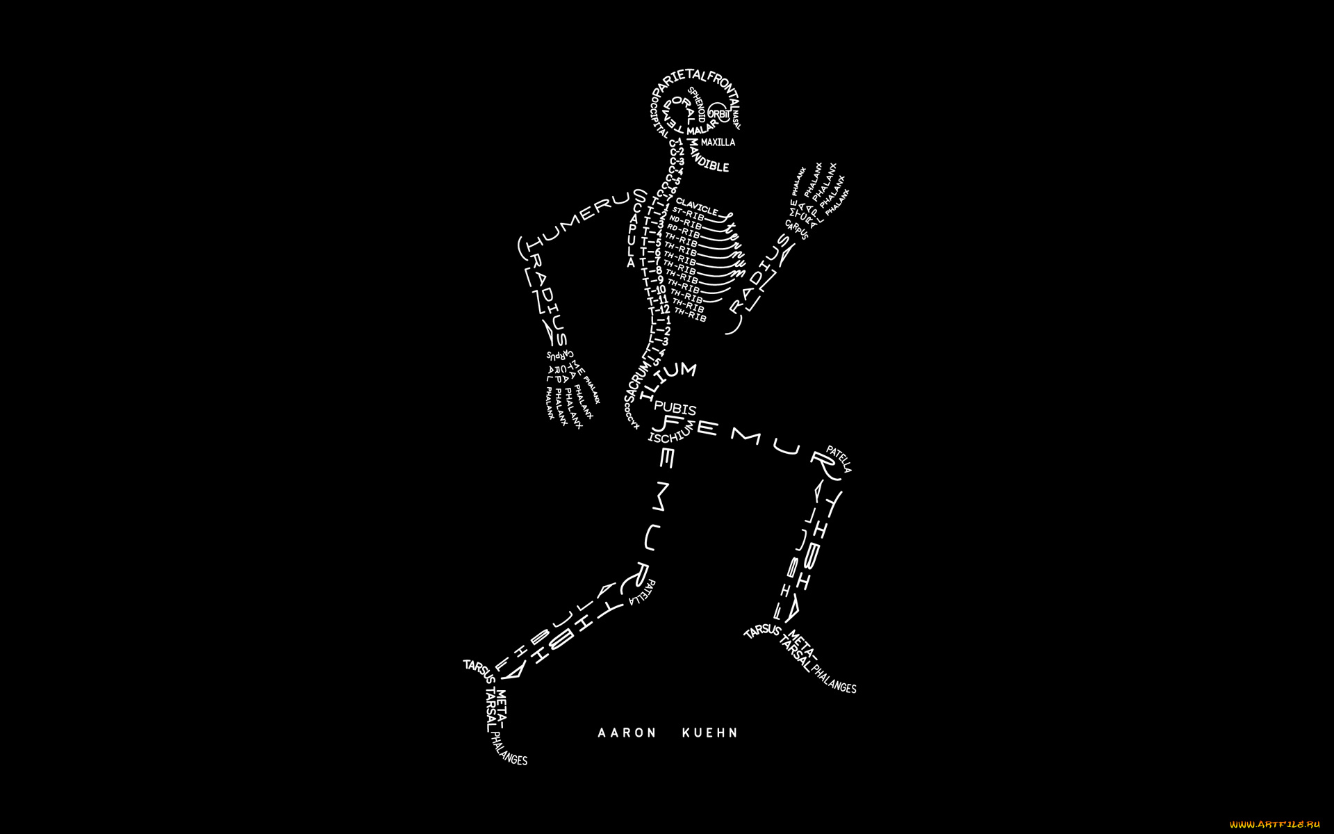 рисованное, минимализм, скелет, фон