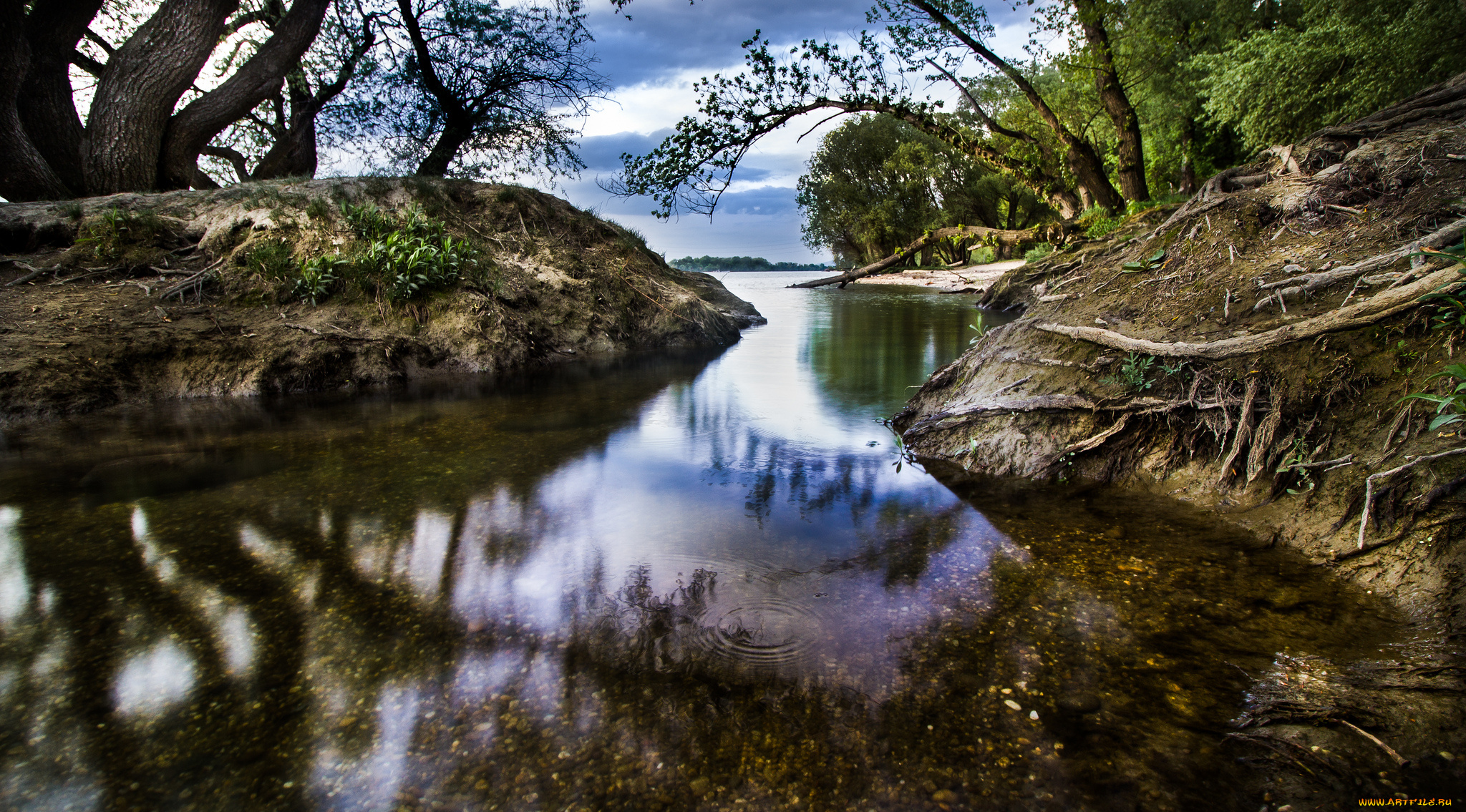 природа, реки, озера, лес, река