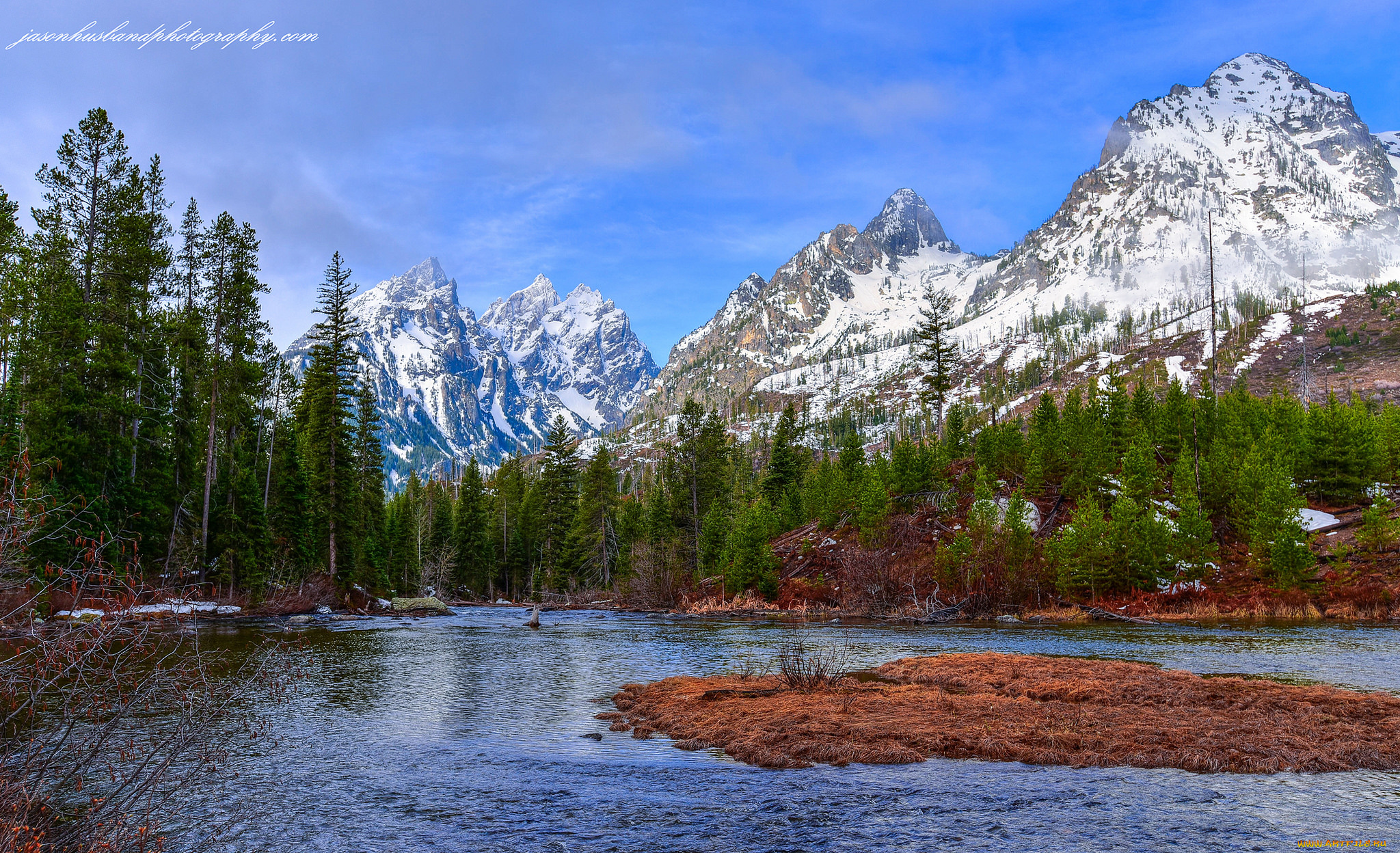природа, реки, озера, река, лес