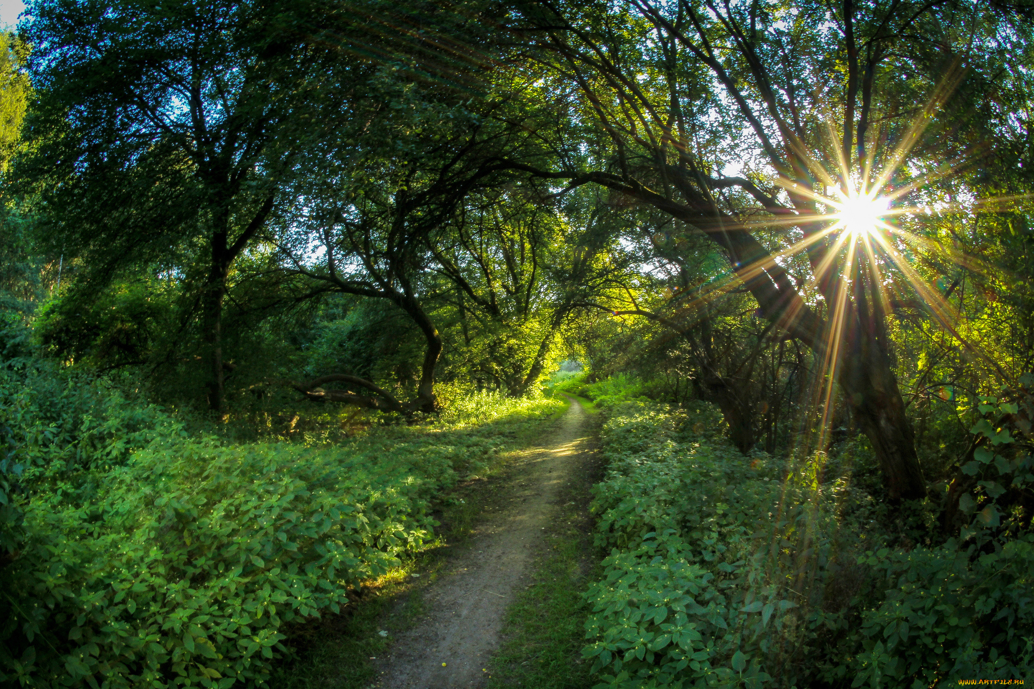 природа, дороги, тракт