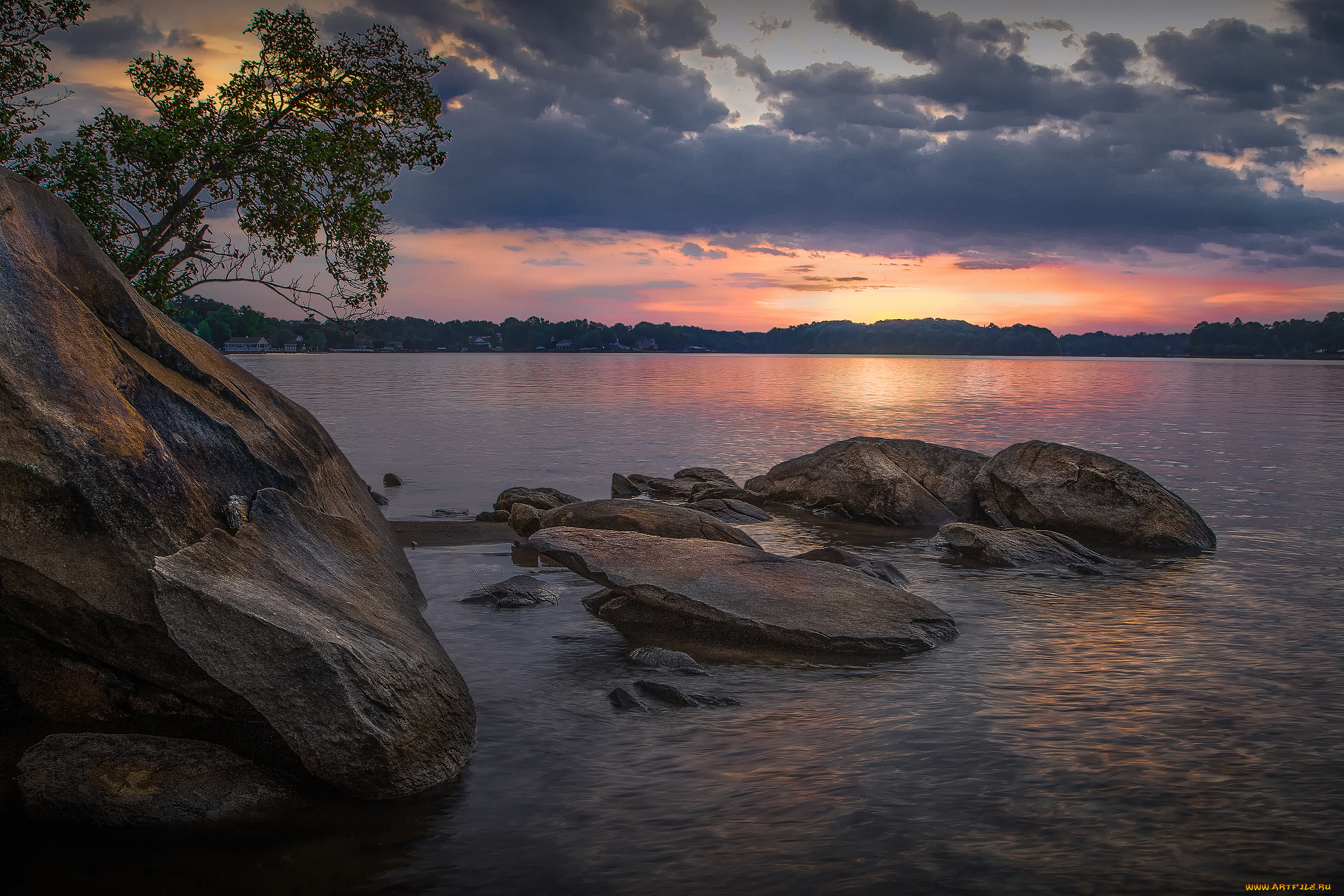 природа, реки, озера, река, лес