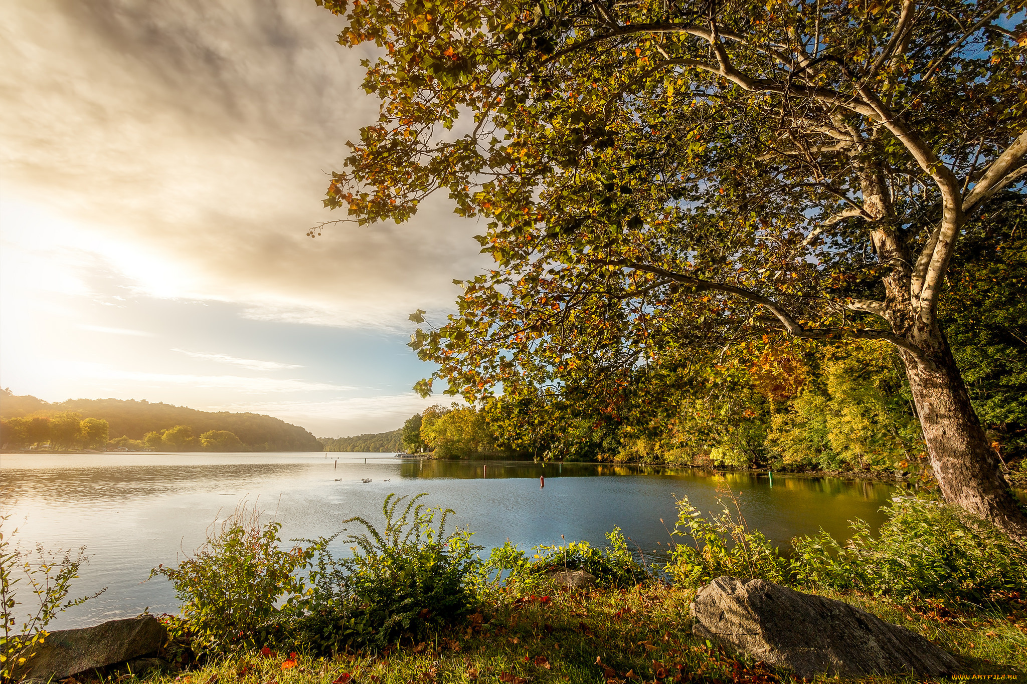 природа, восходы, закаты, рассвет
