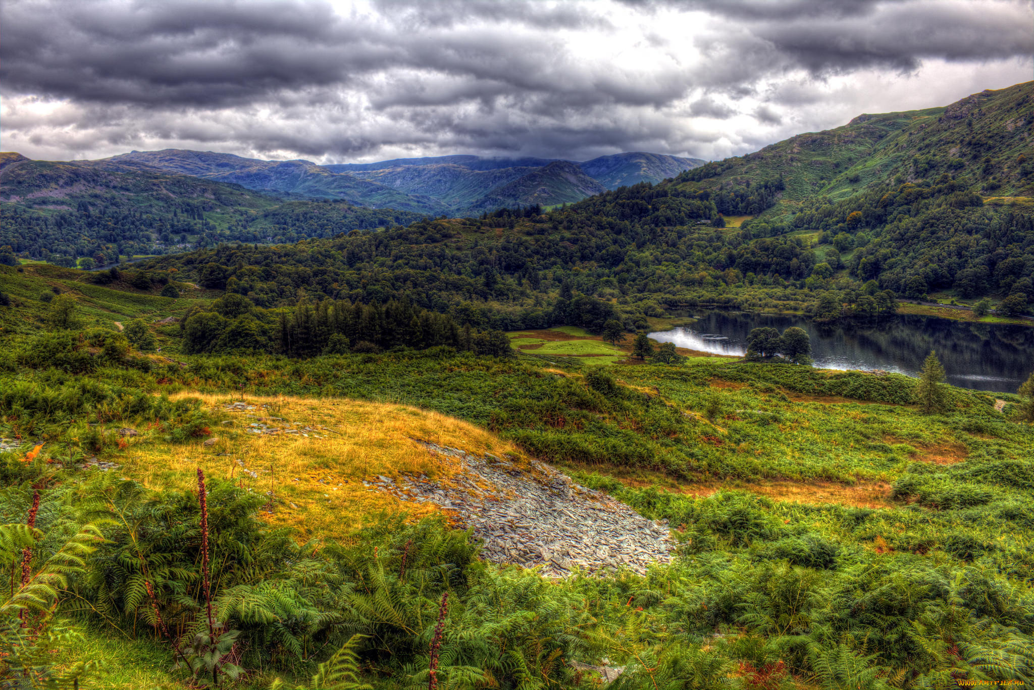 природа, пейзажи, река, лес