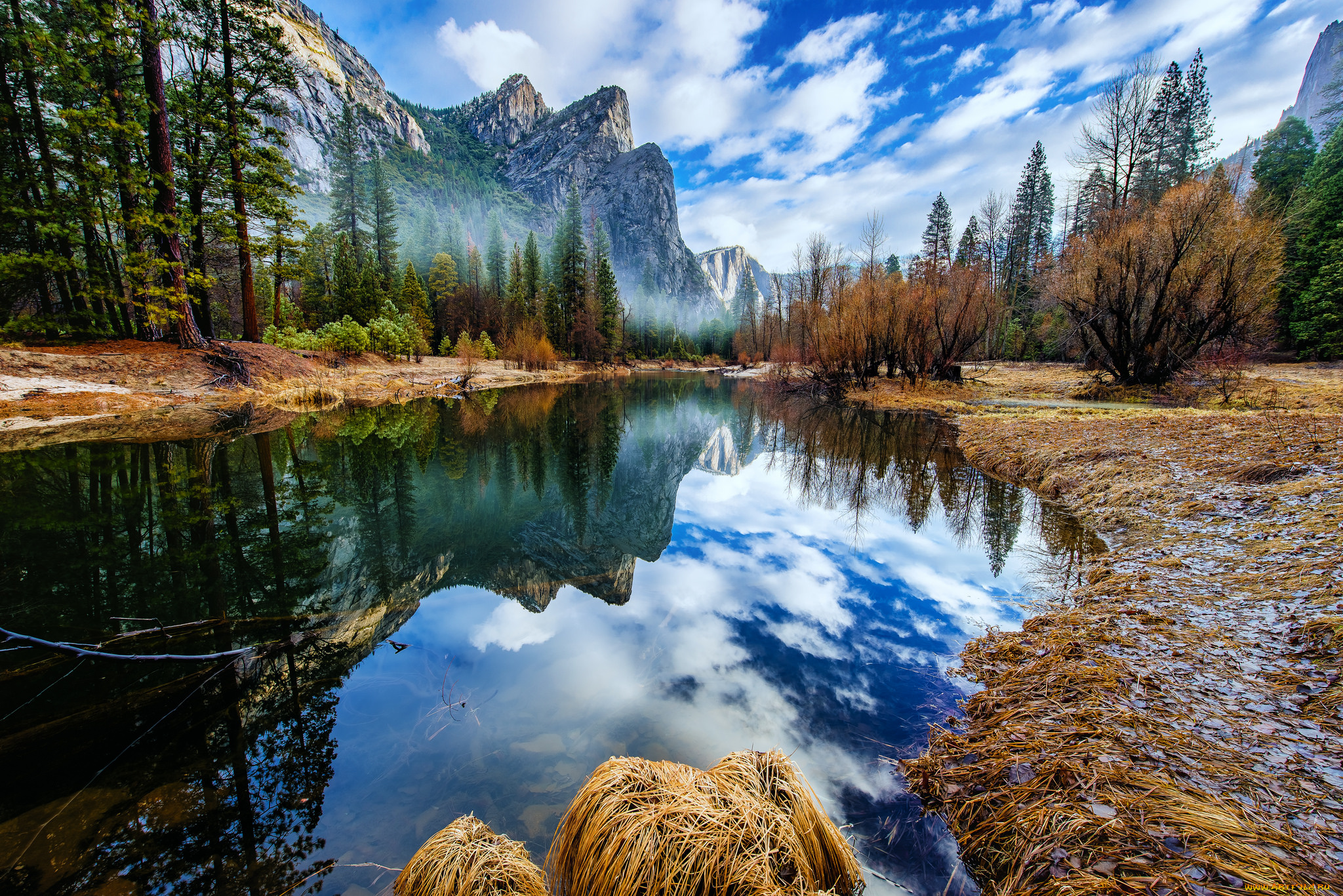 природа, реки, озера, лес, река