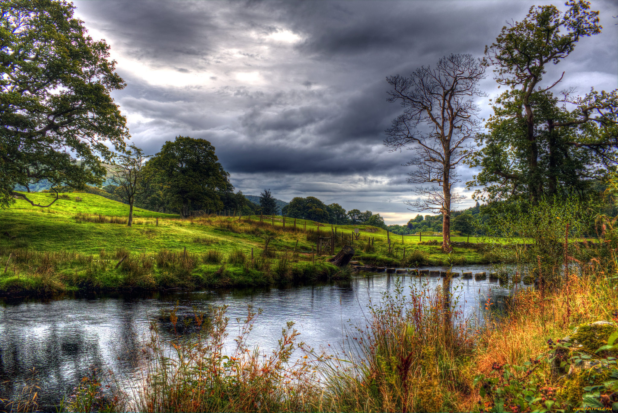 природа, реки, озера, река, лес