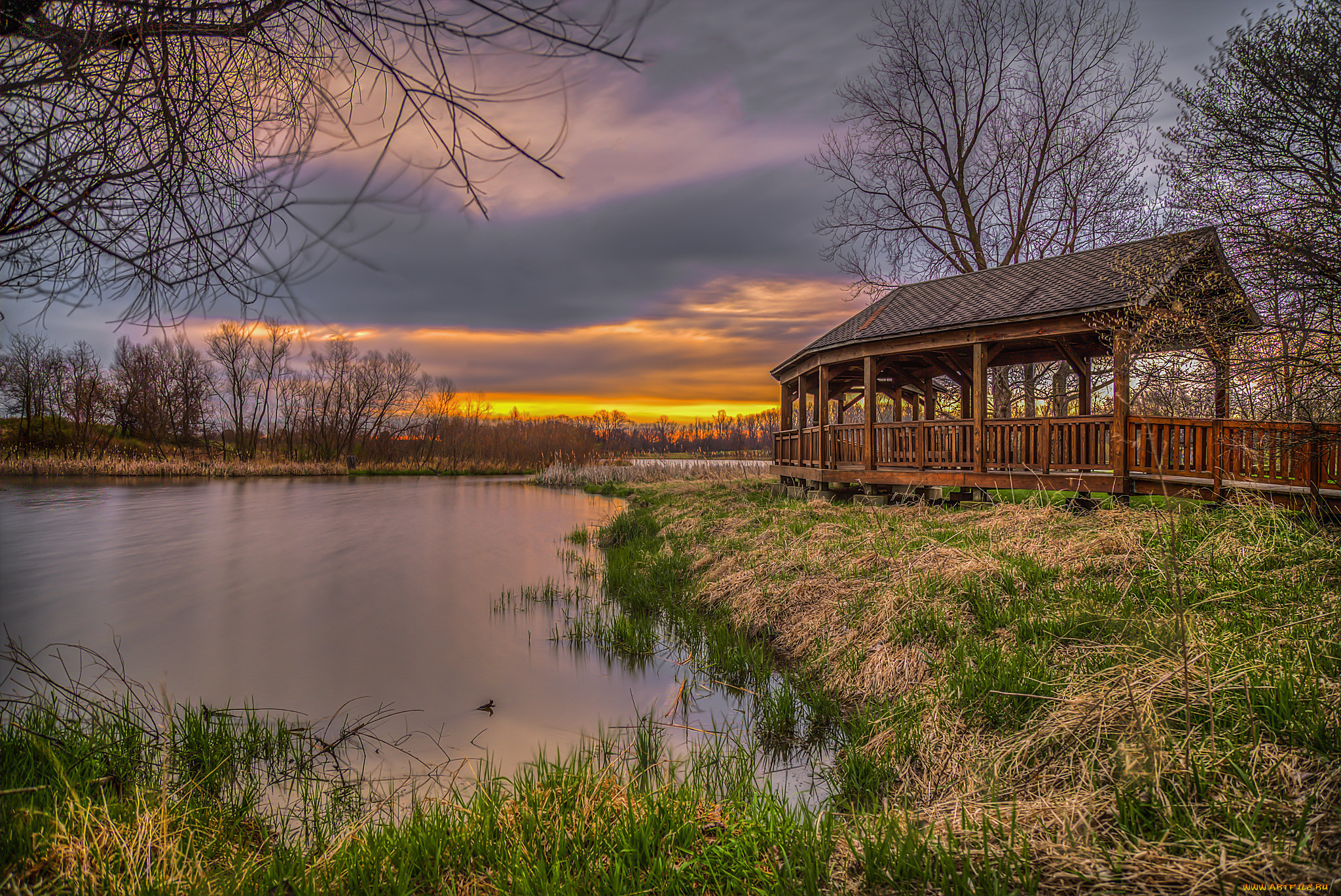 природа, реки, озера, река, лес