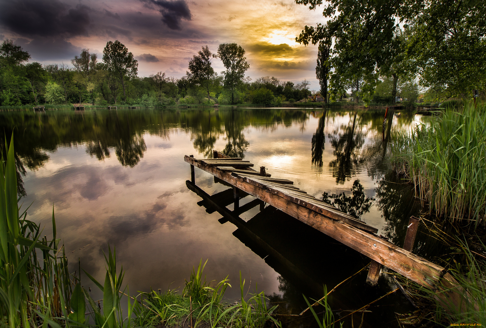 природа, реки, озера, река, лес