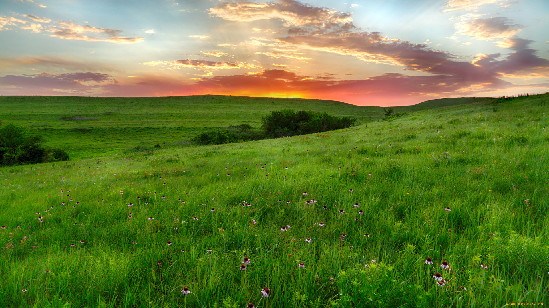 природа, пейзажи, простор
