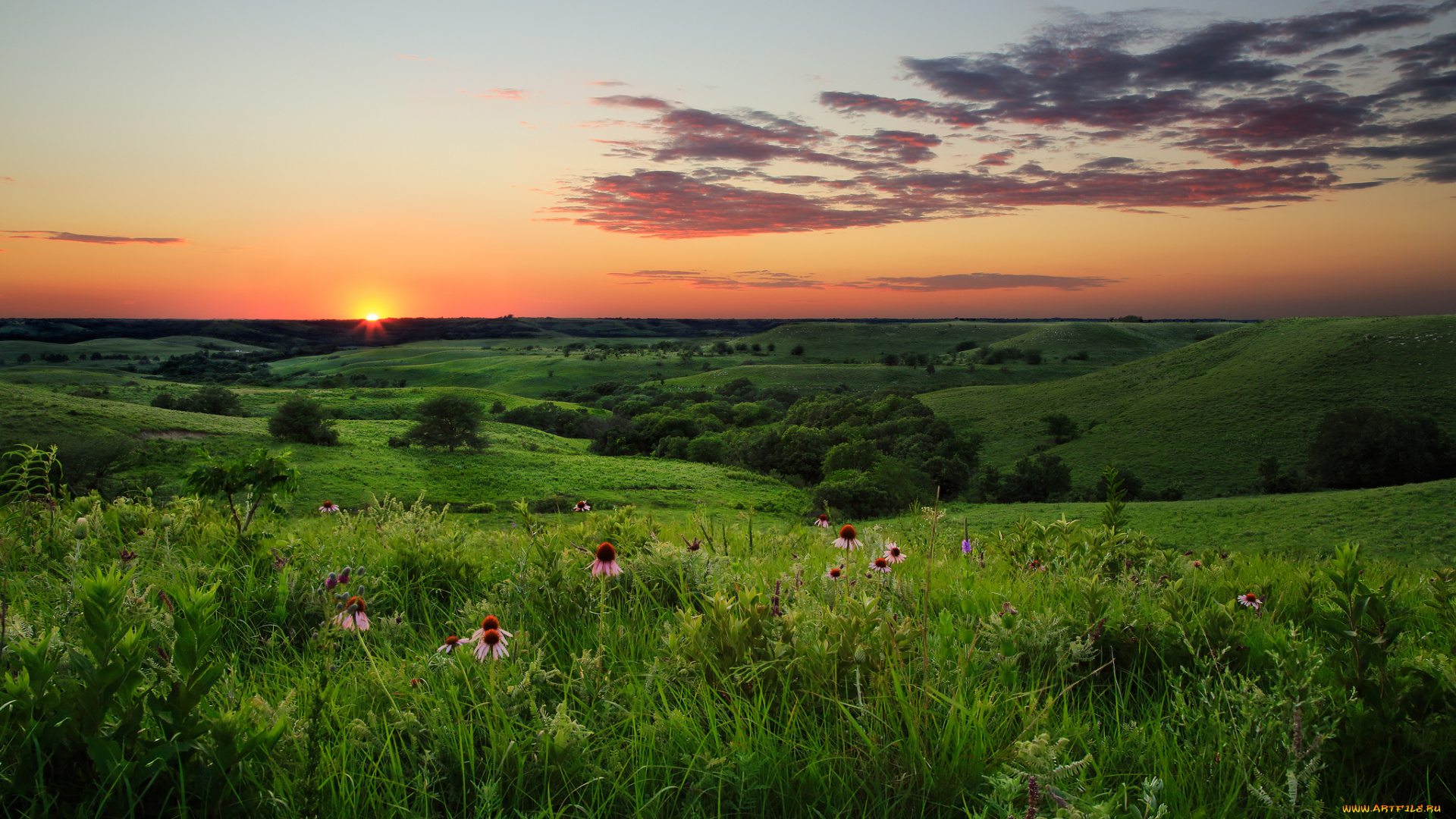 природа, пейзажи, простор
