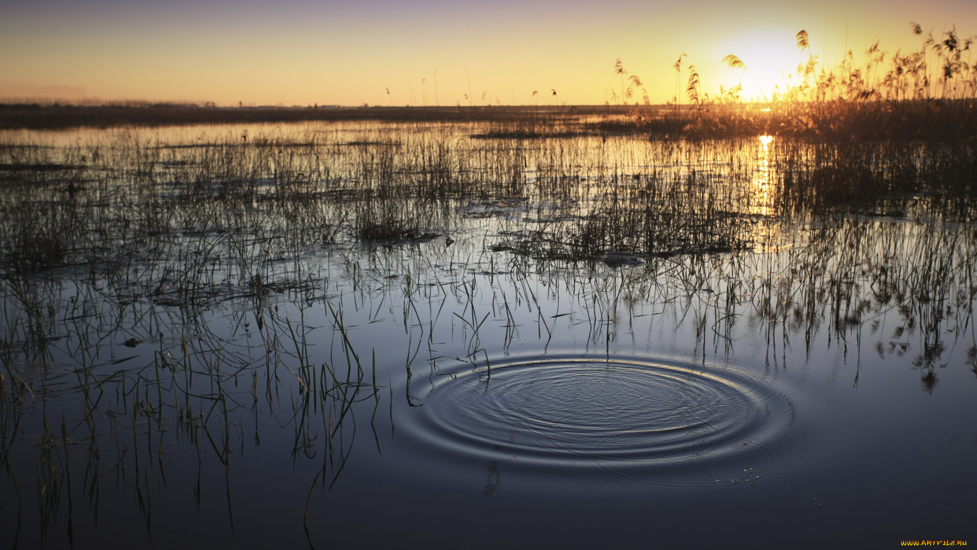 природа, реки, озера, рассвет