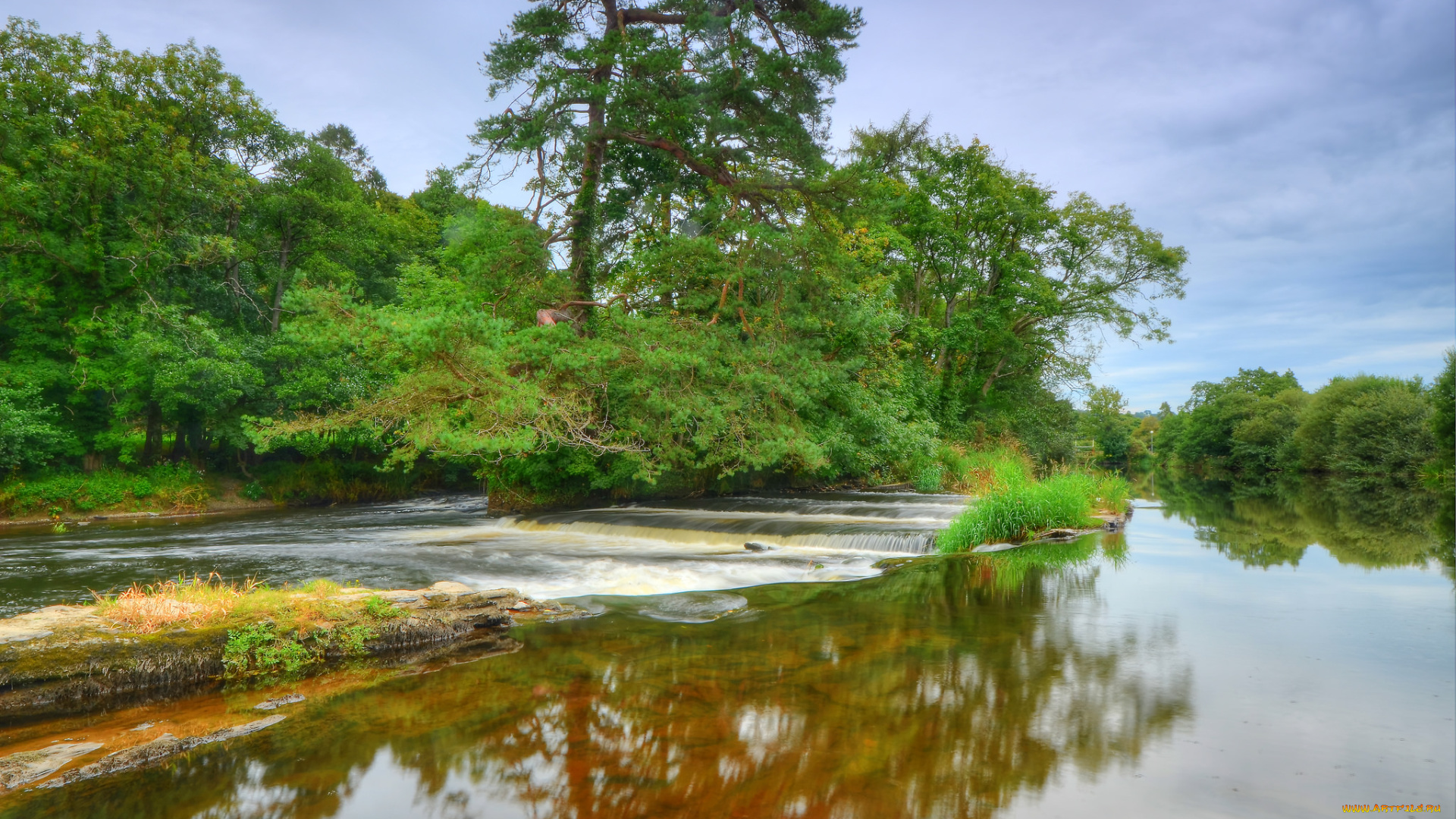 природа, реки, озера, река, лес