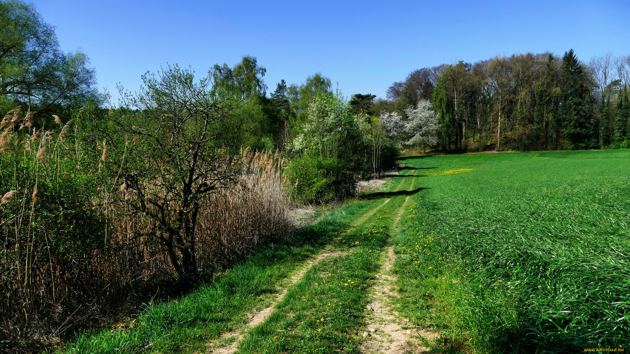 природа, дороги, тракт