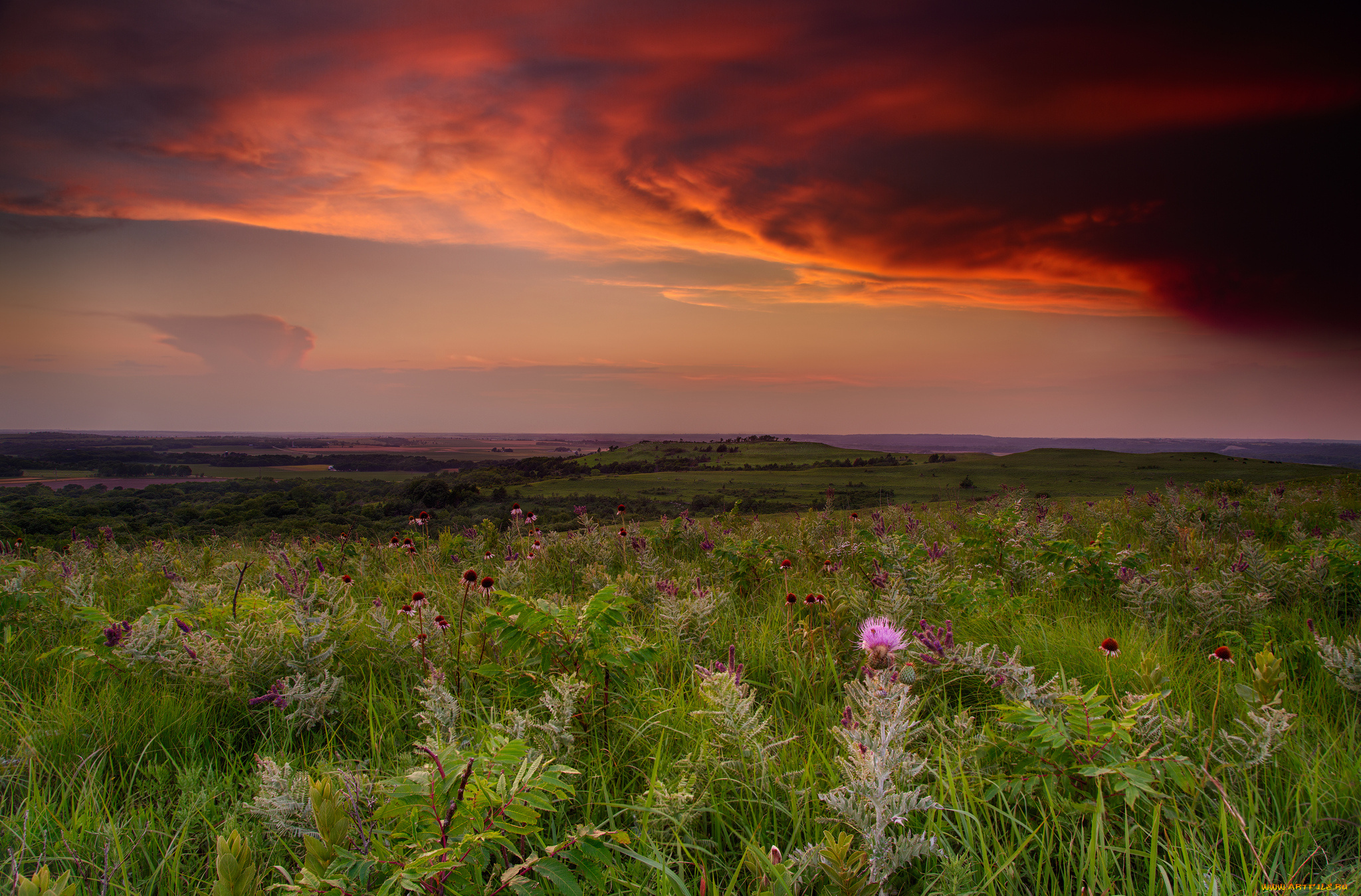 природа, пейзажи, простор