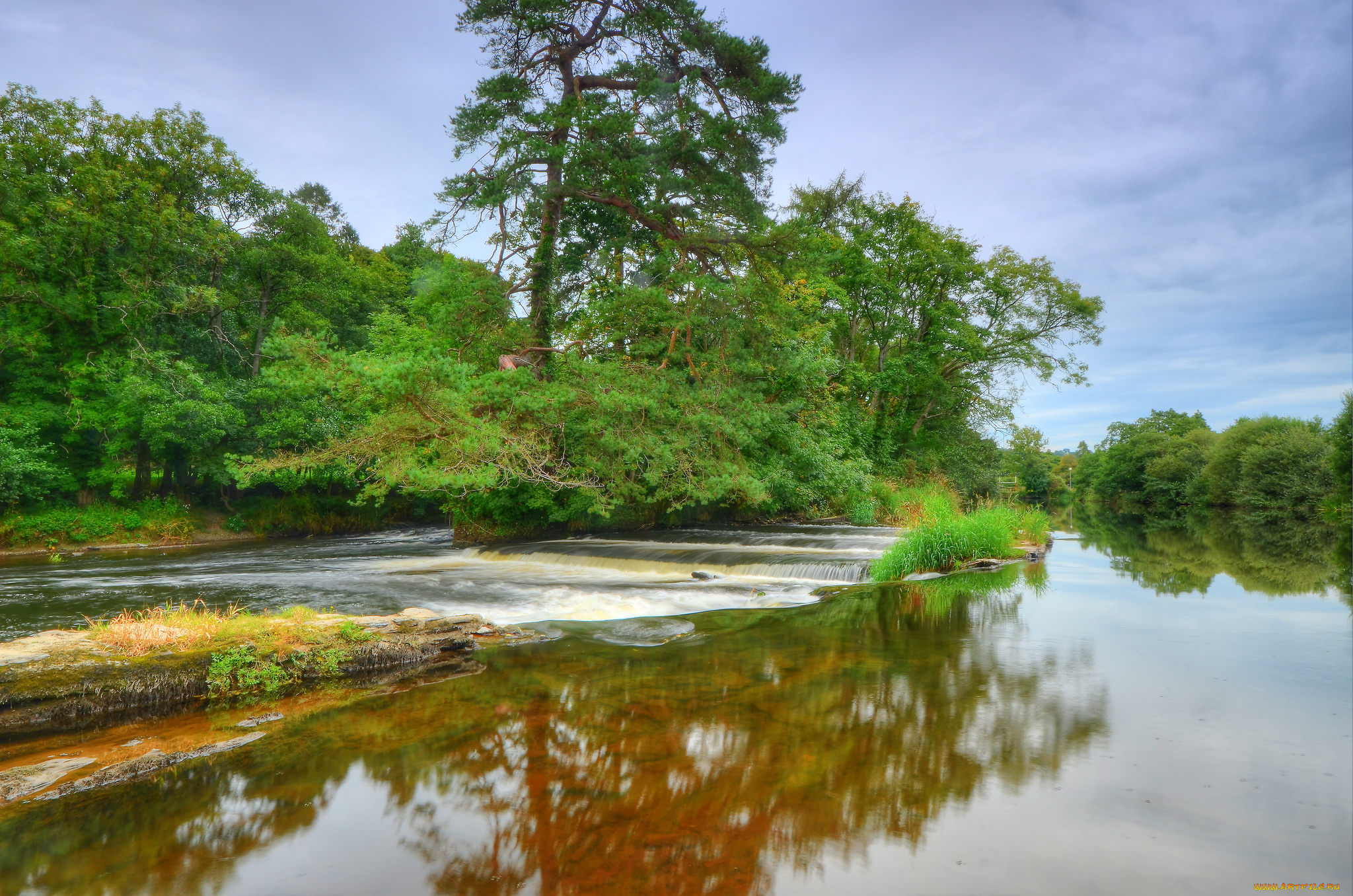 природа, реки, озера, река, лес