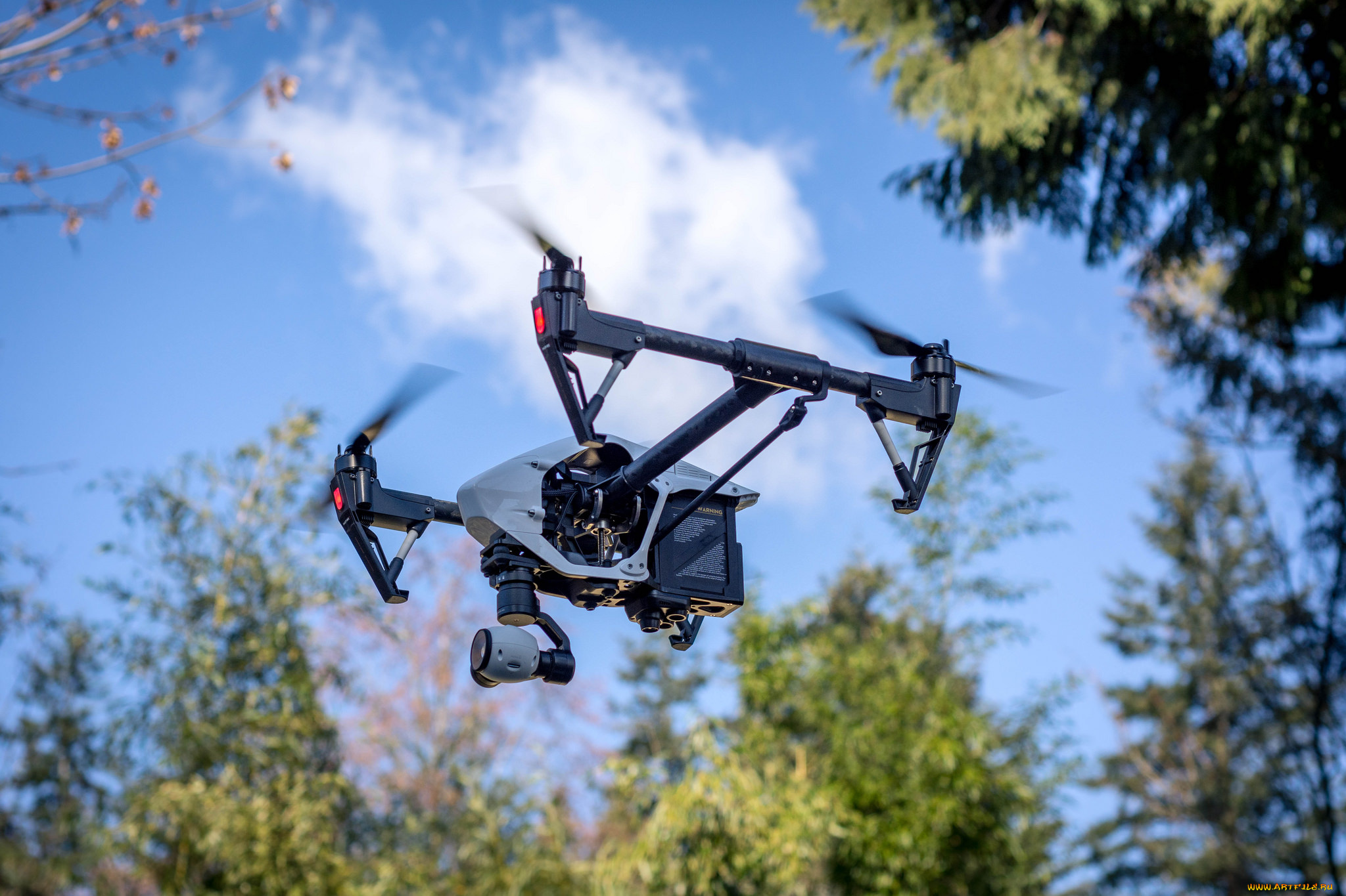 авиация, другое, дрон