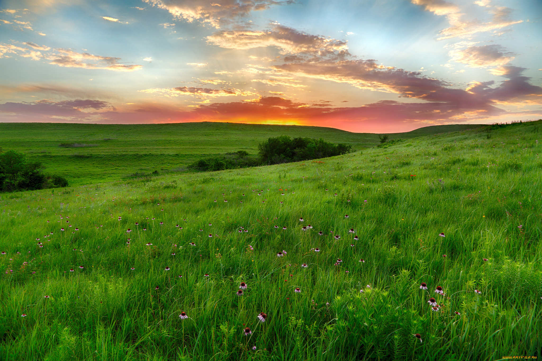 природа, пейзажи, простор