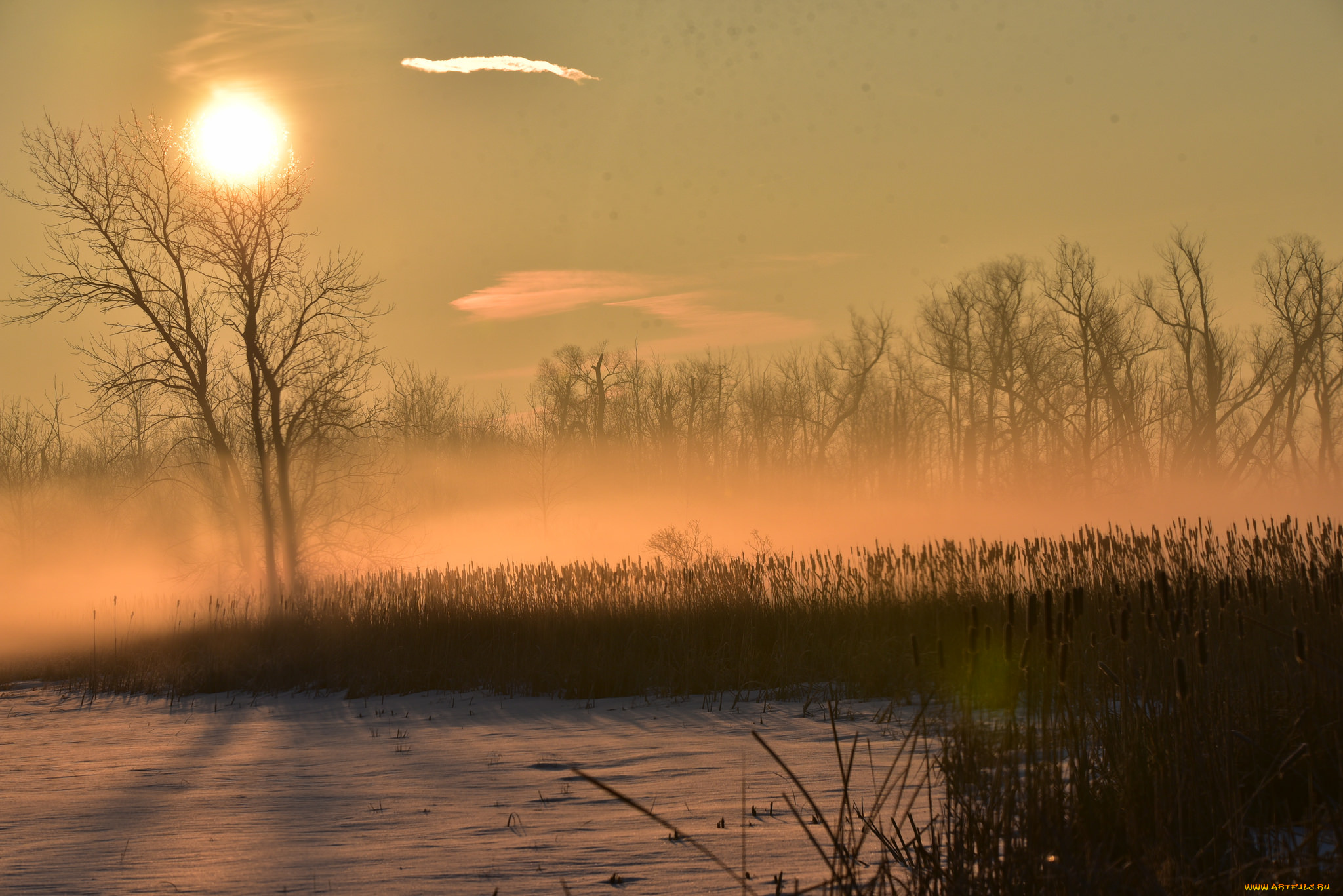 природа, восходы, закаты, утро