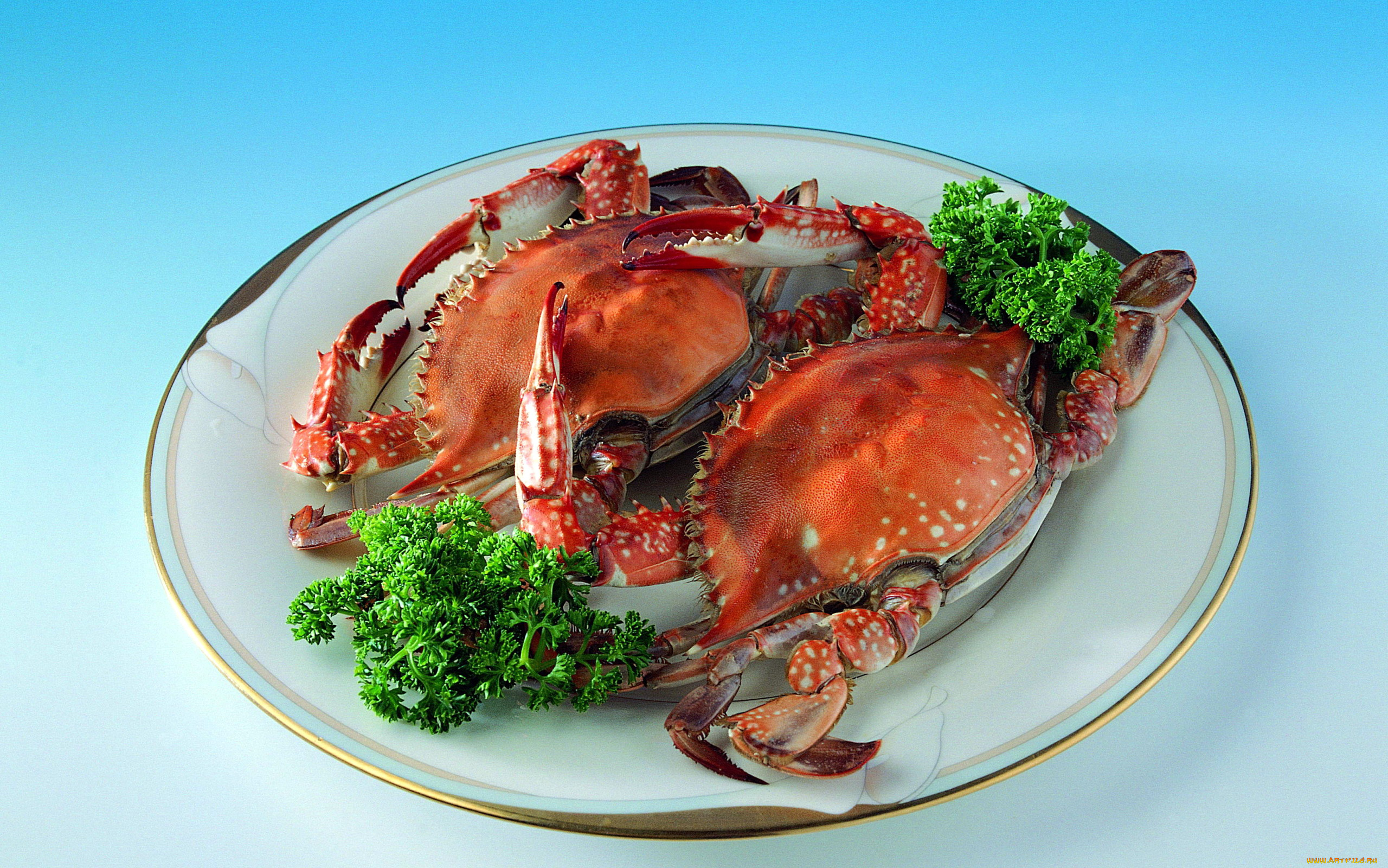 еда, рыба, , морепродукты, , суши, , роллы, крабы