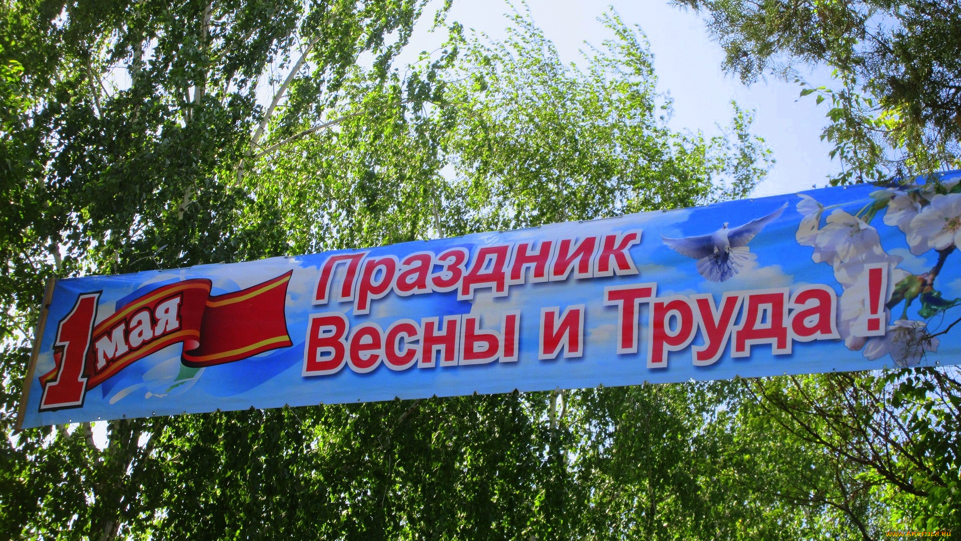 праздничные, другое, весна, 2018